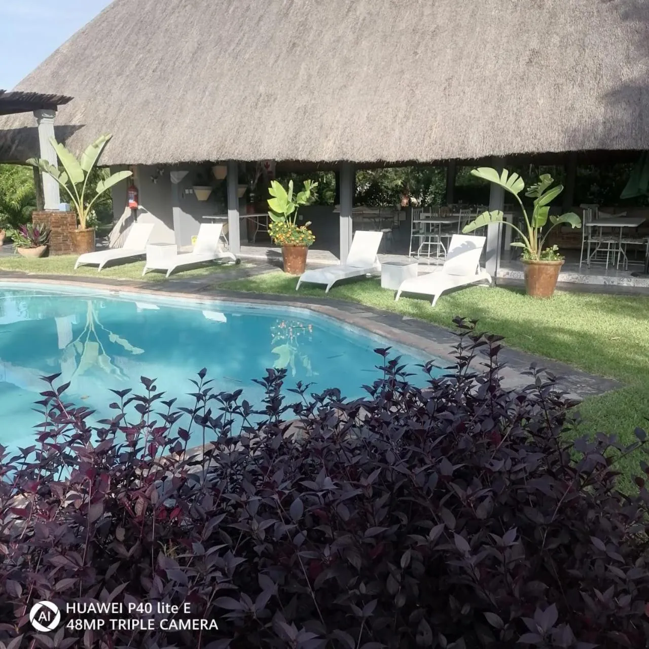 Swimming pool in Sunbirds Lodge Chobe