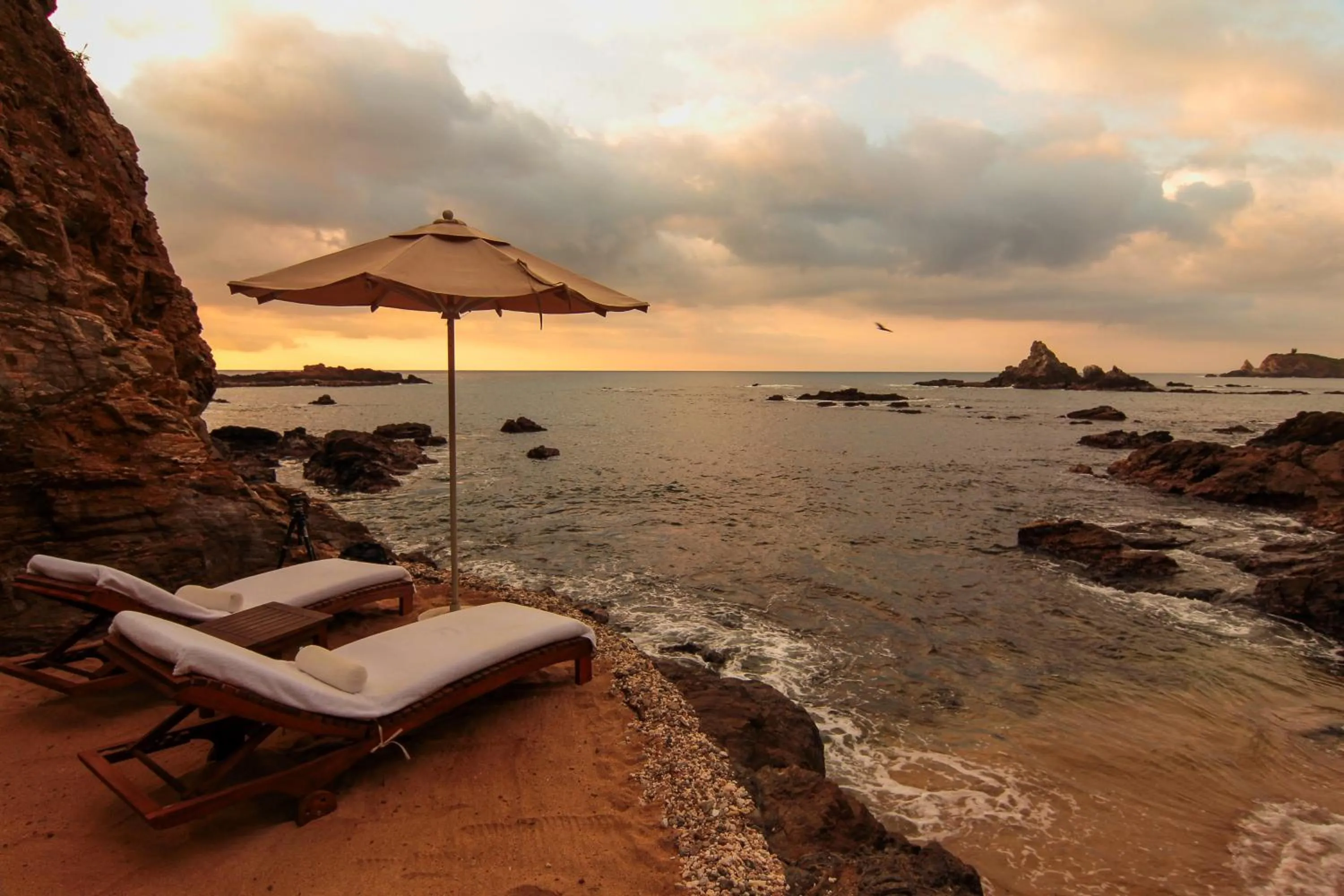 Beach in ZOA Hotel - Adults Only