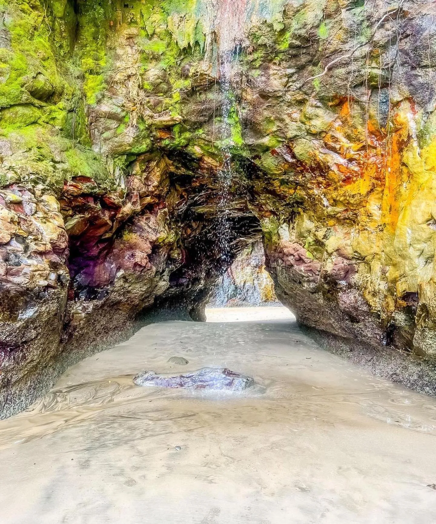 Natural landscape in PlazaMar Pacifico Hotel