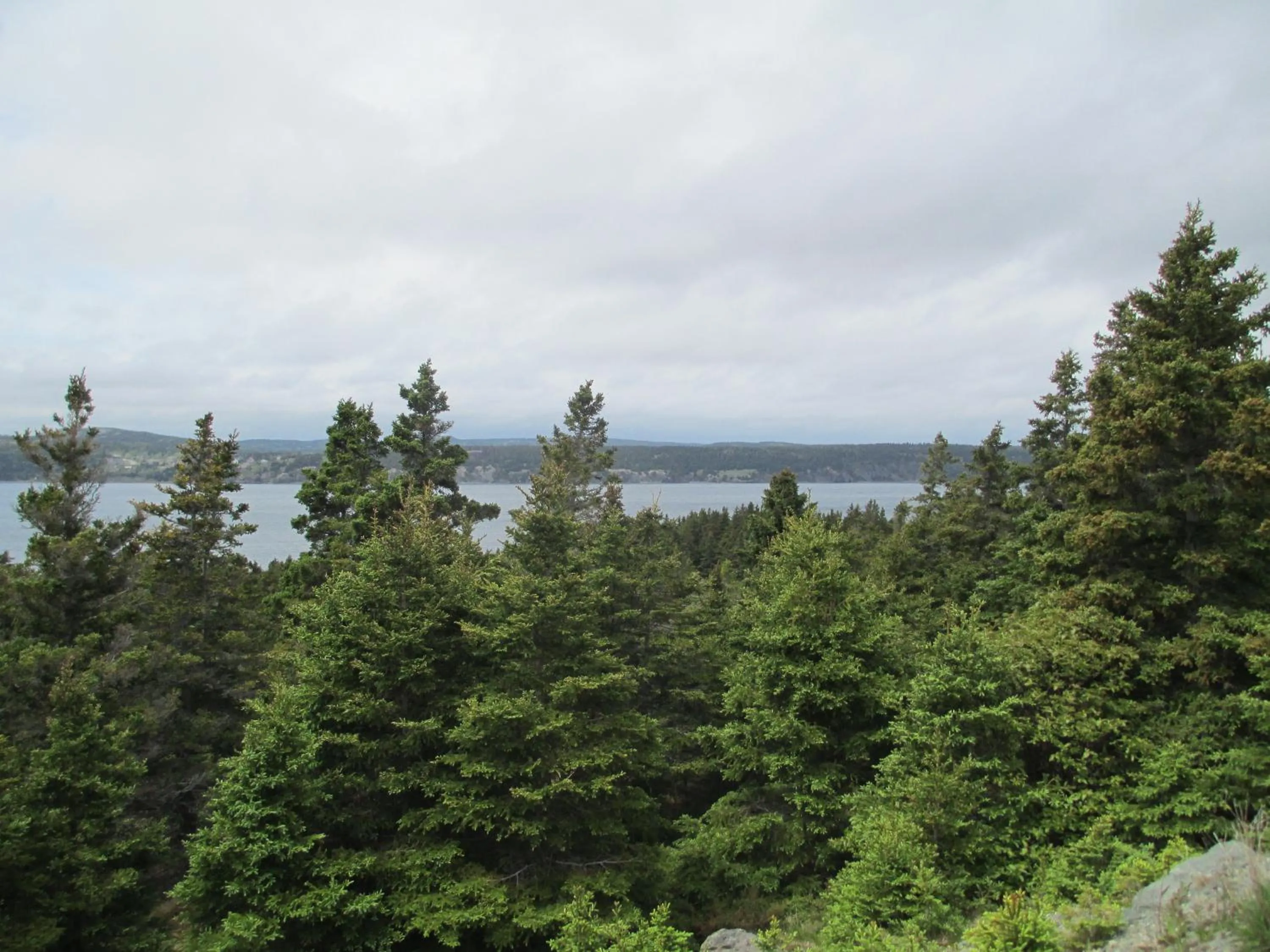Area and facilities in Comerford's Ocean View Suites