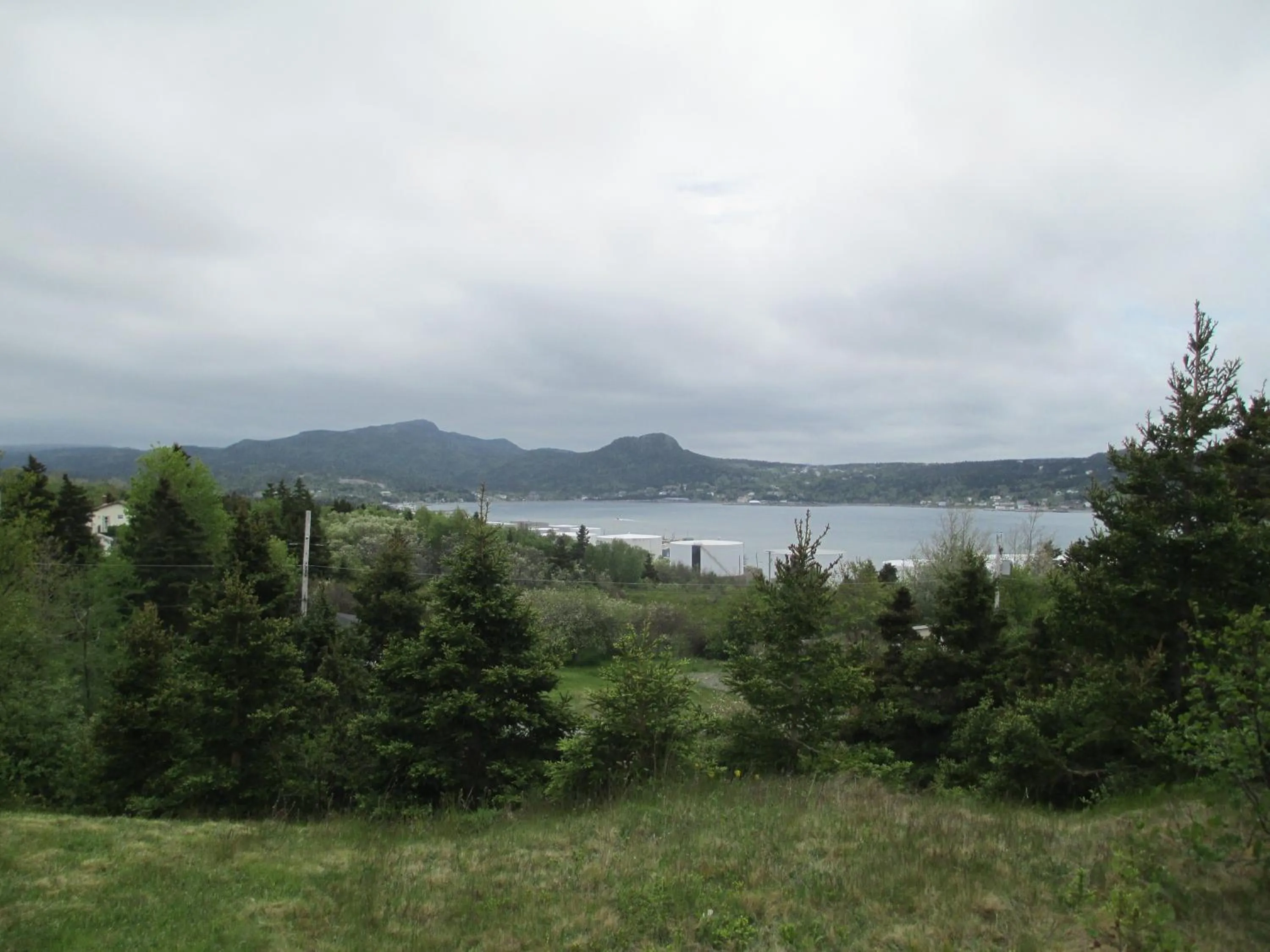 Area and facilities in Comerford's Ocean View Suites