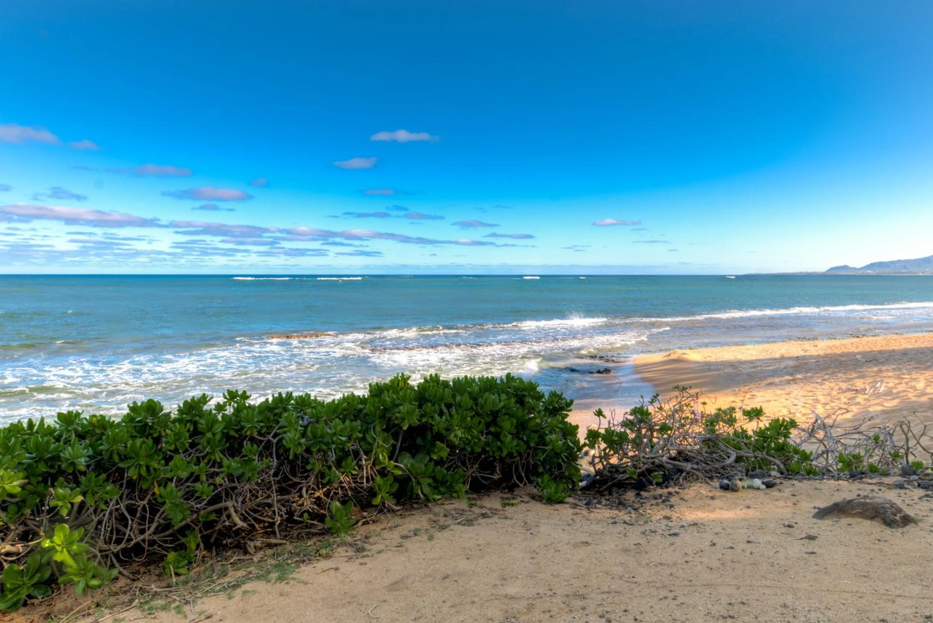 Beach in The ISO by Castle
