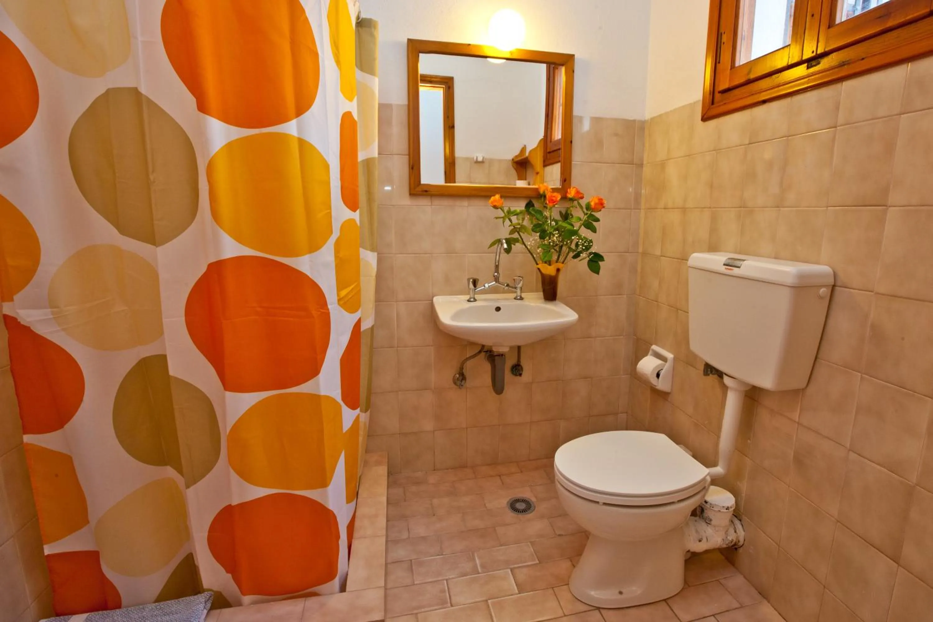 Bathroom in Skiathos House