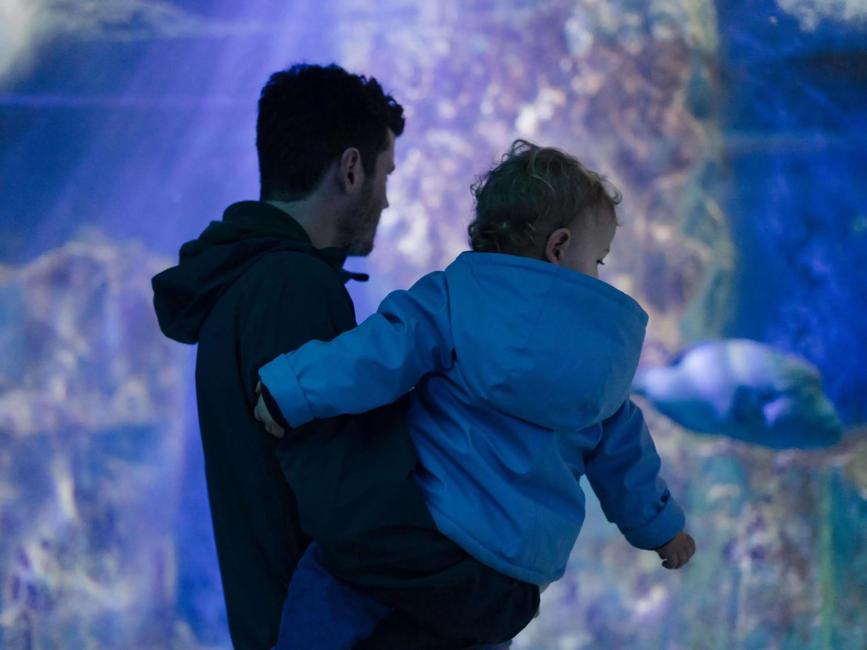 Other in Mercure St Malo Front de Mer