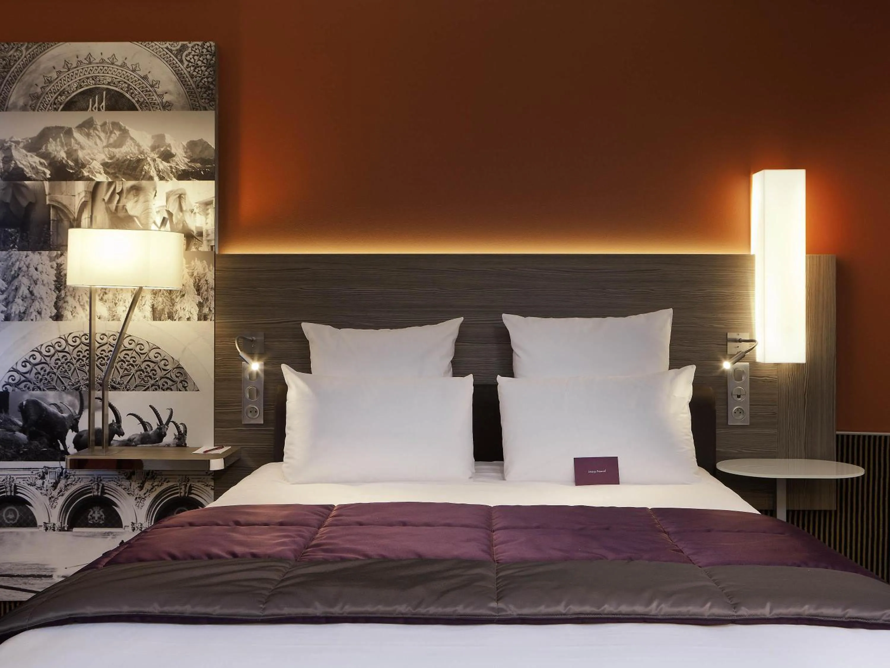 Classic Â Double Room in Mercure Chambéry Centre