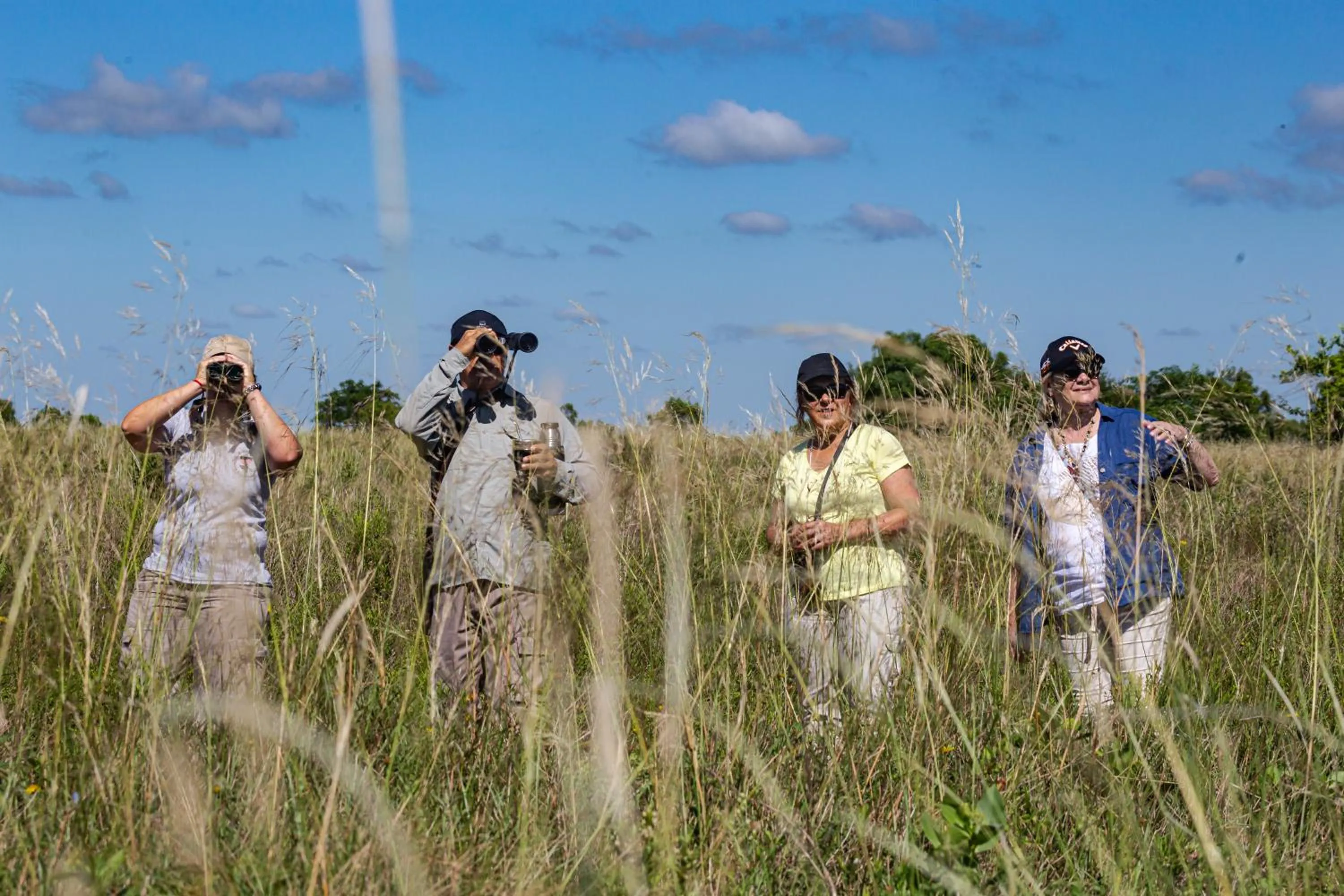 Activities in El Tránsito Hotel Boutique
