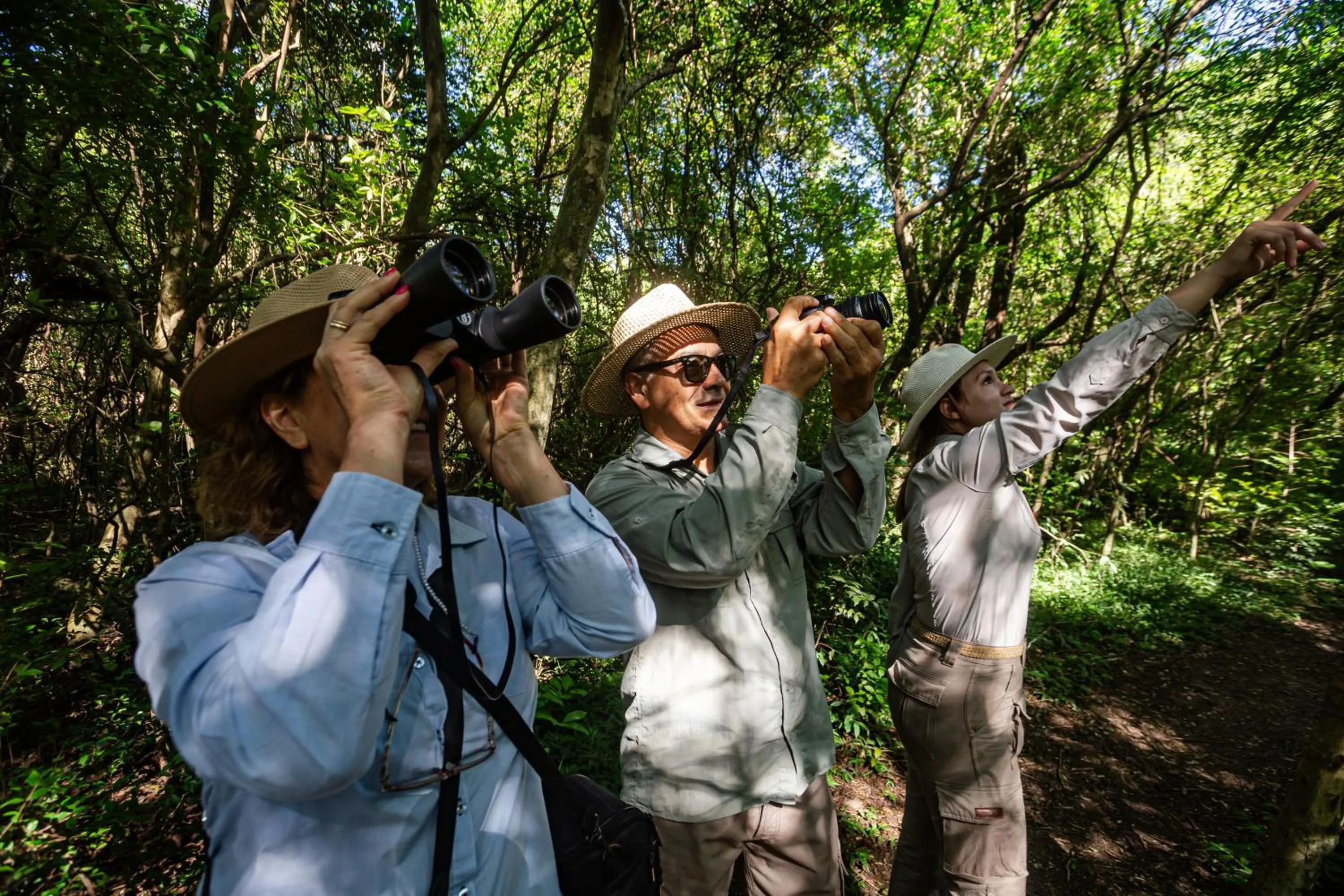 Activities in El Tránsito Hotel Boutique