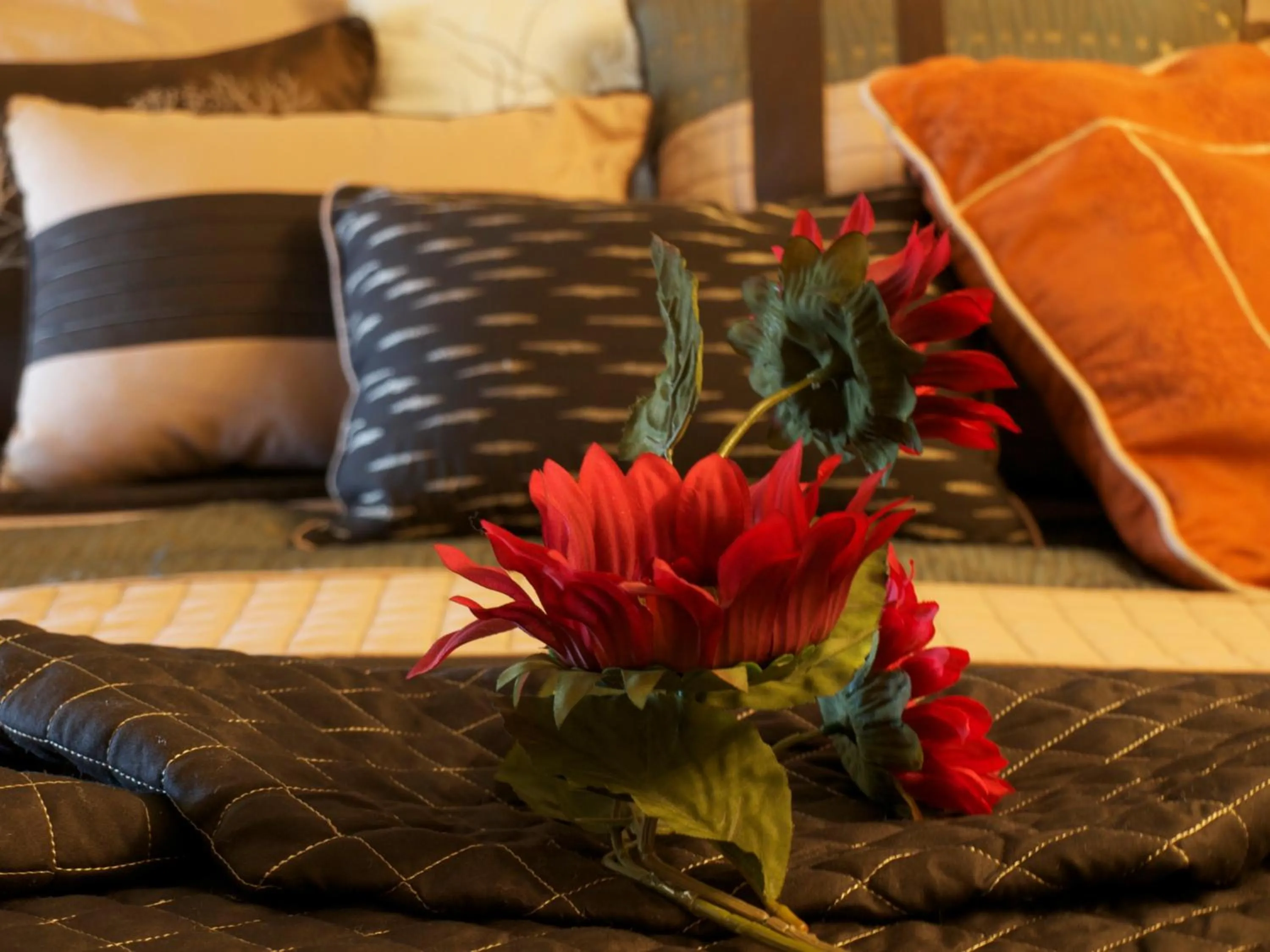 One-Bedroom Apartment in YPC Fitness & Accomodations