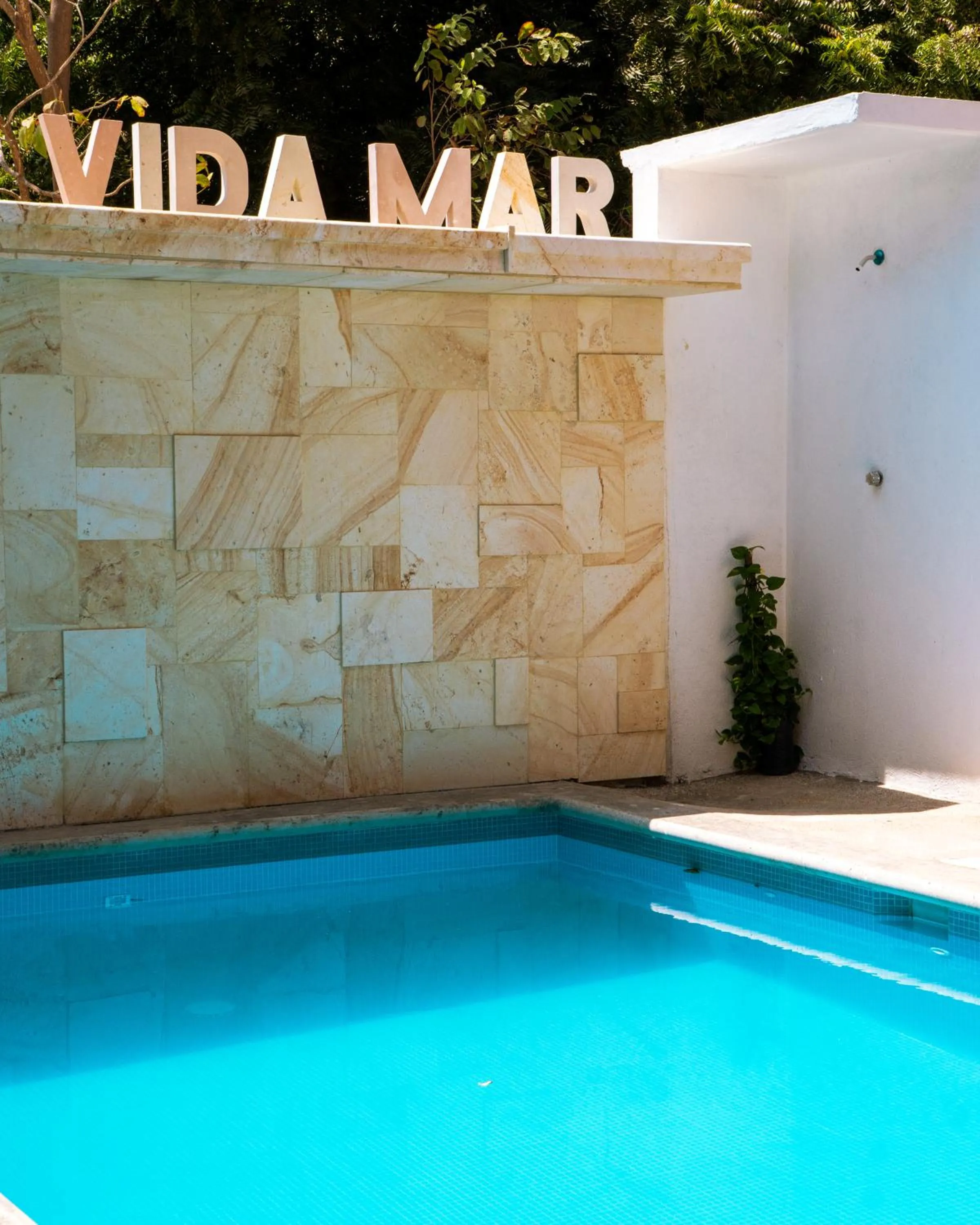 Swimming pool in Hotel VidaMar