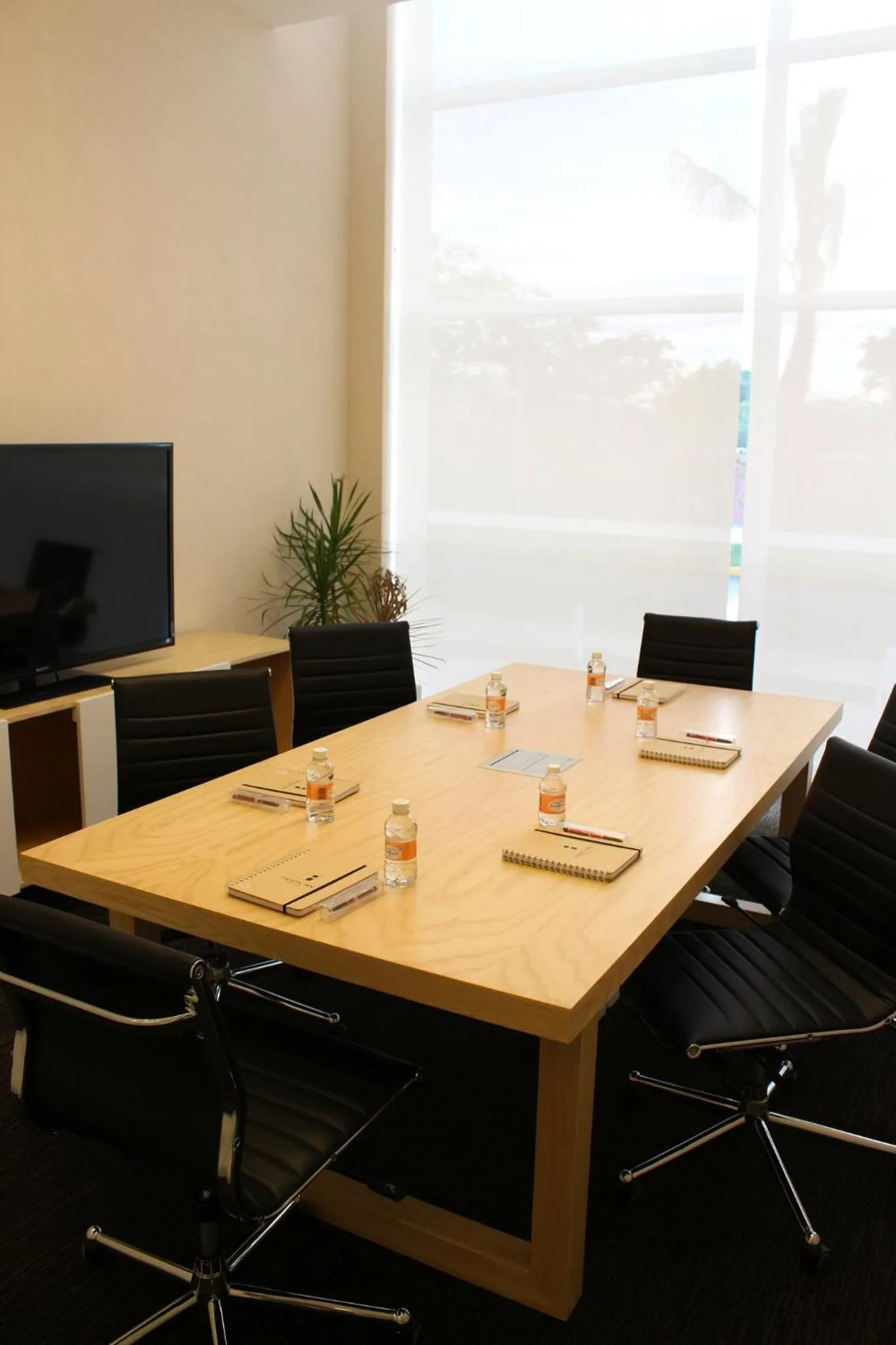 Meeting/conference room in Fiesta Inn Chetumal