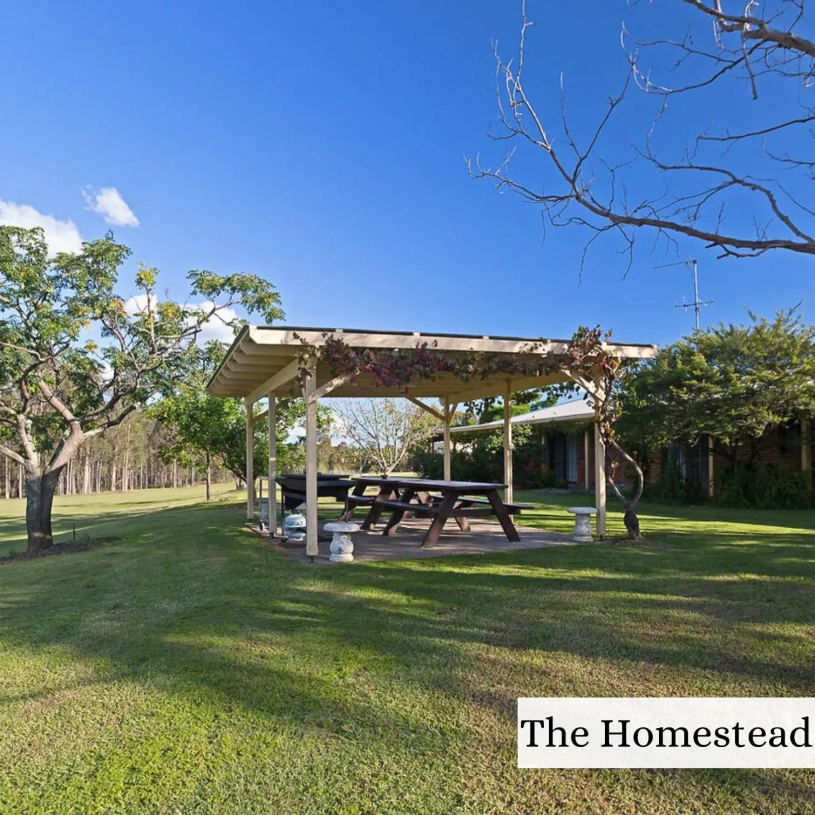 Natural landscape in Woolshed Hill Estate