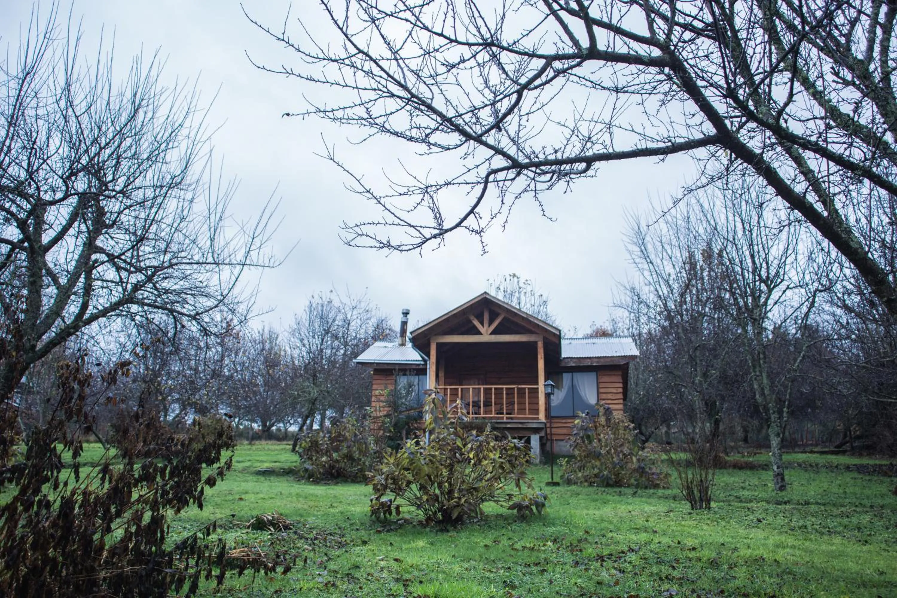 Balcony/Terrace in Apart hotel Puchaley Lafquen