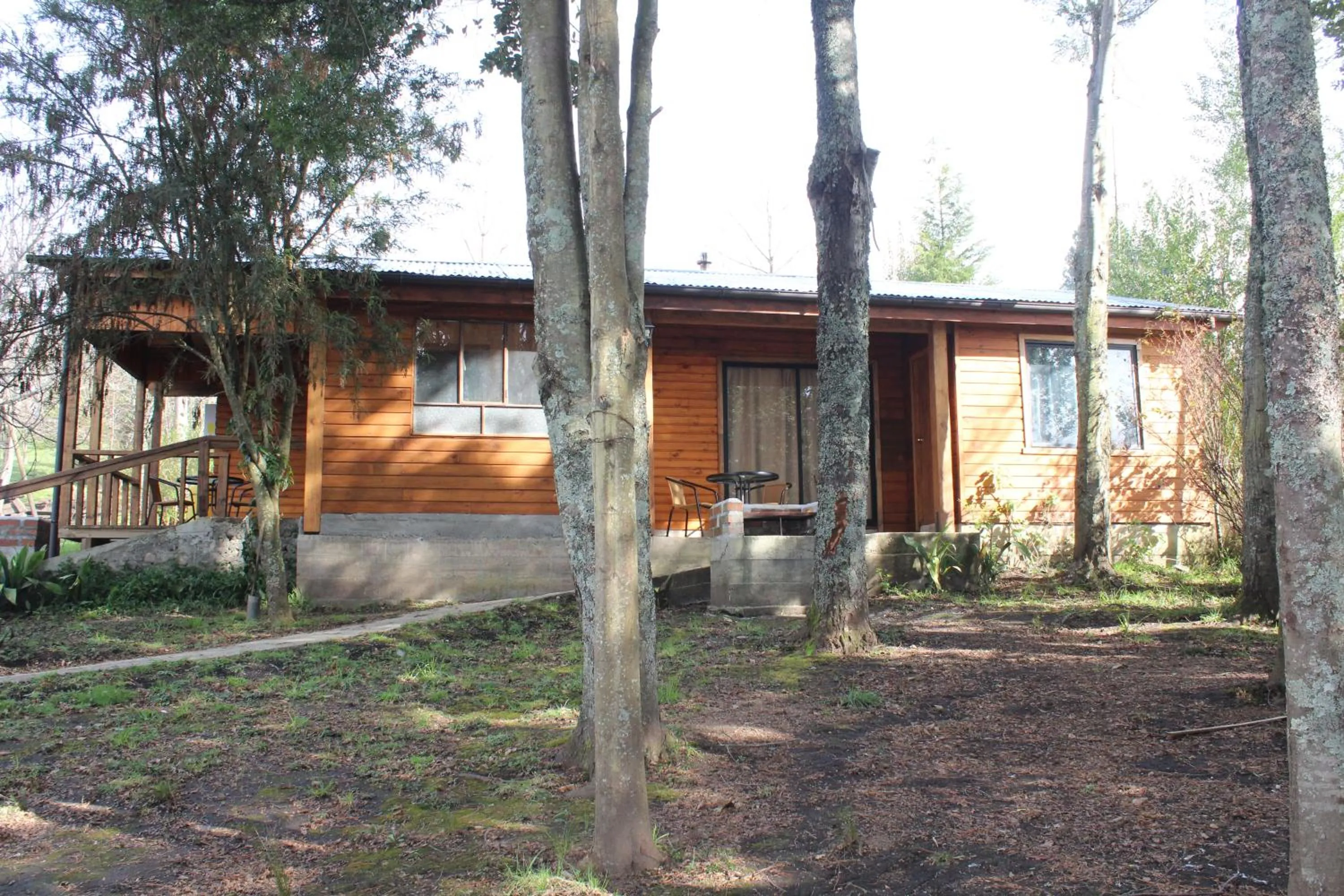 Garden view in Apart hotel Puchaley Lafquen