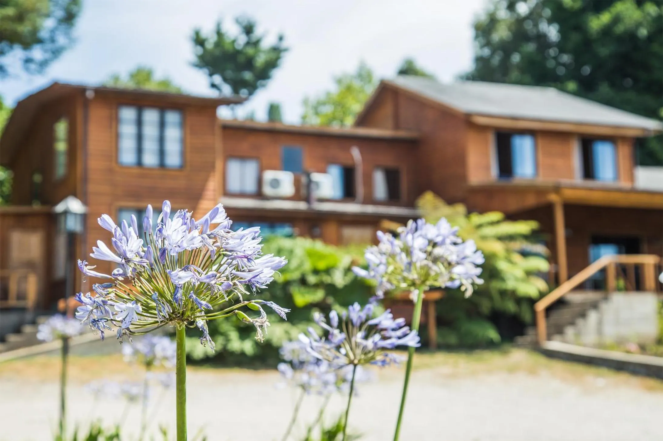 Facade/entrance in Apart hotel Puchaley Lafquen
