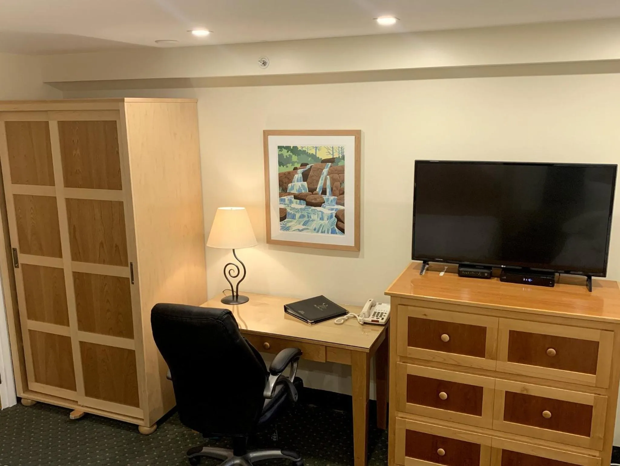 TV and multimedia in Park Place Lodge