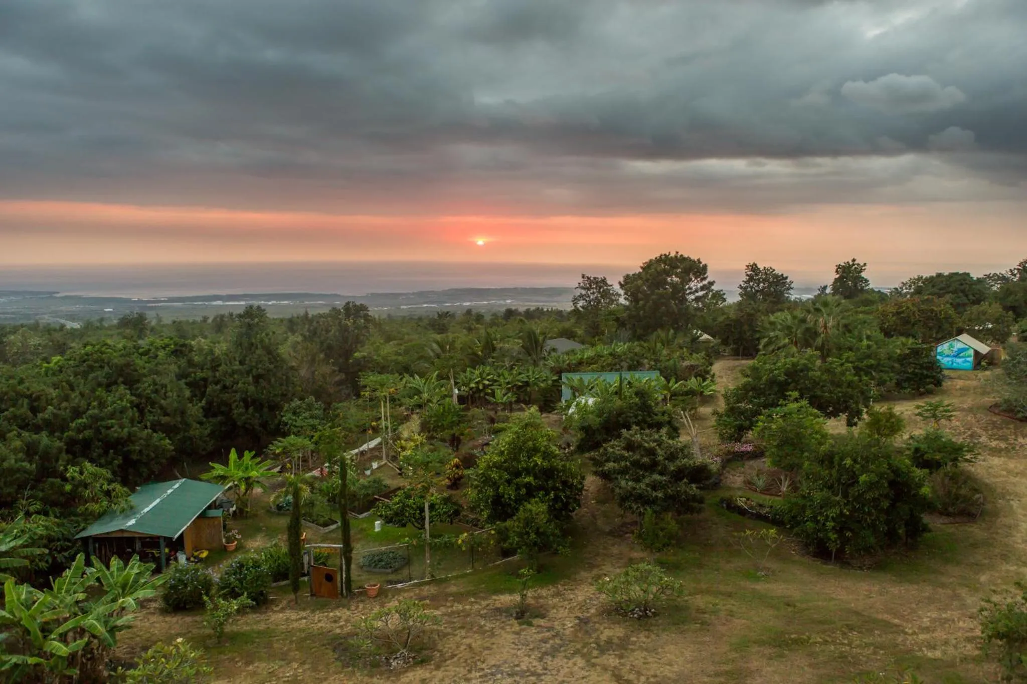 Bird's eye view in Banyan Tree Sanctuary Guest House