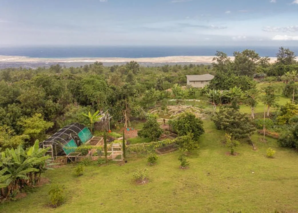 Day in Banyan Tree Sanctuary Guest House