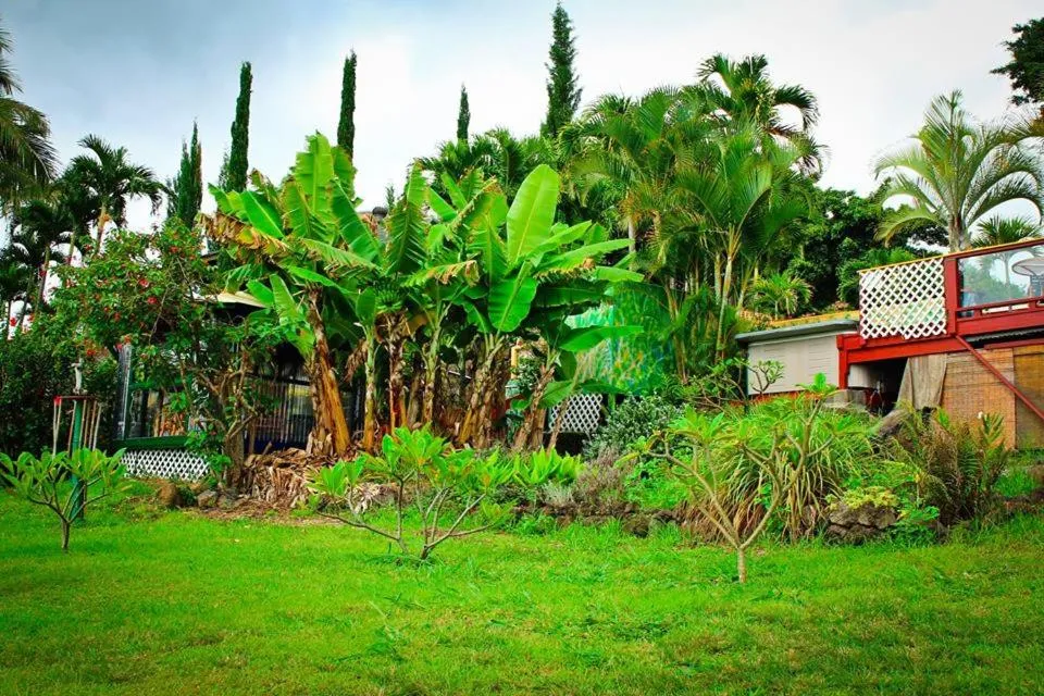 Garden in Banyan Tree Sanctuary Guest House