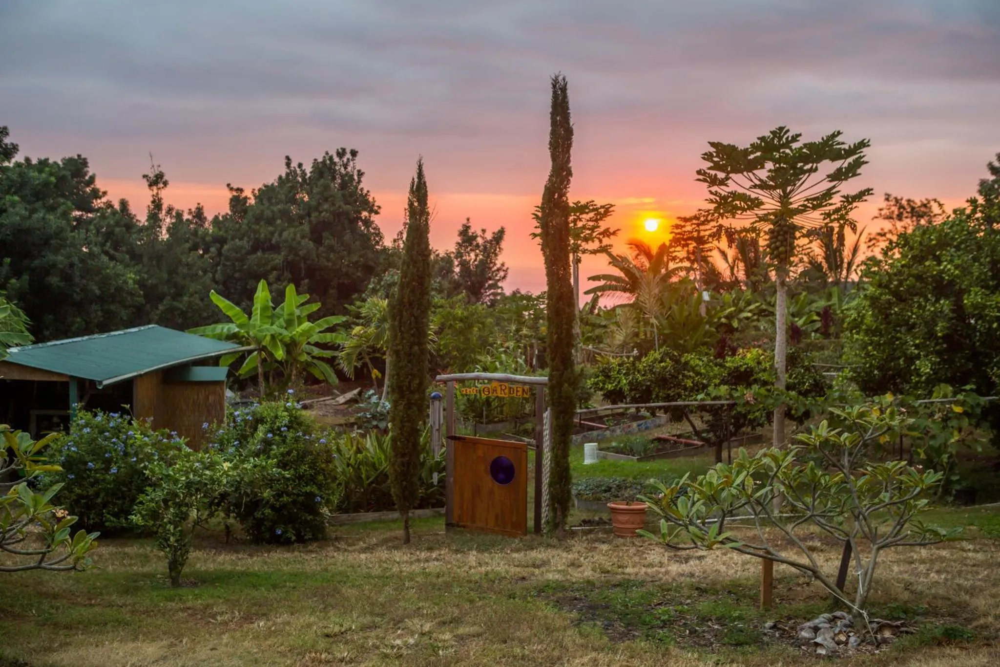 Garden view in Banyan Tree Sanctuary Guest House