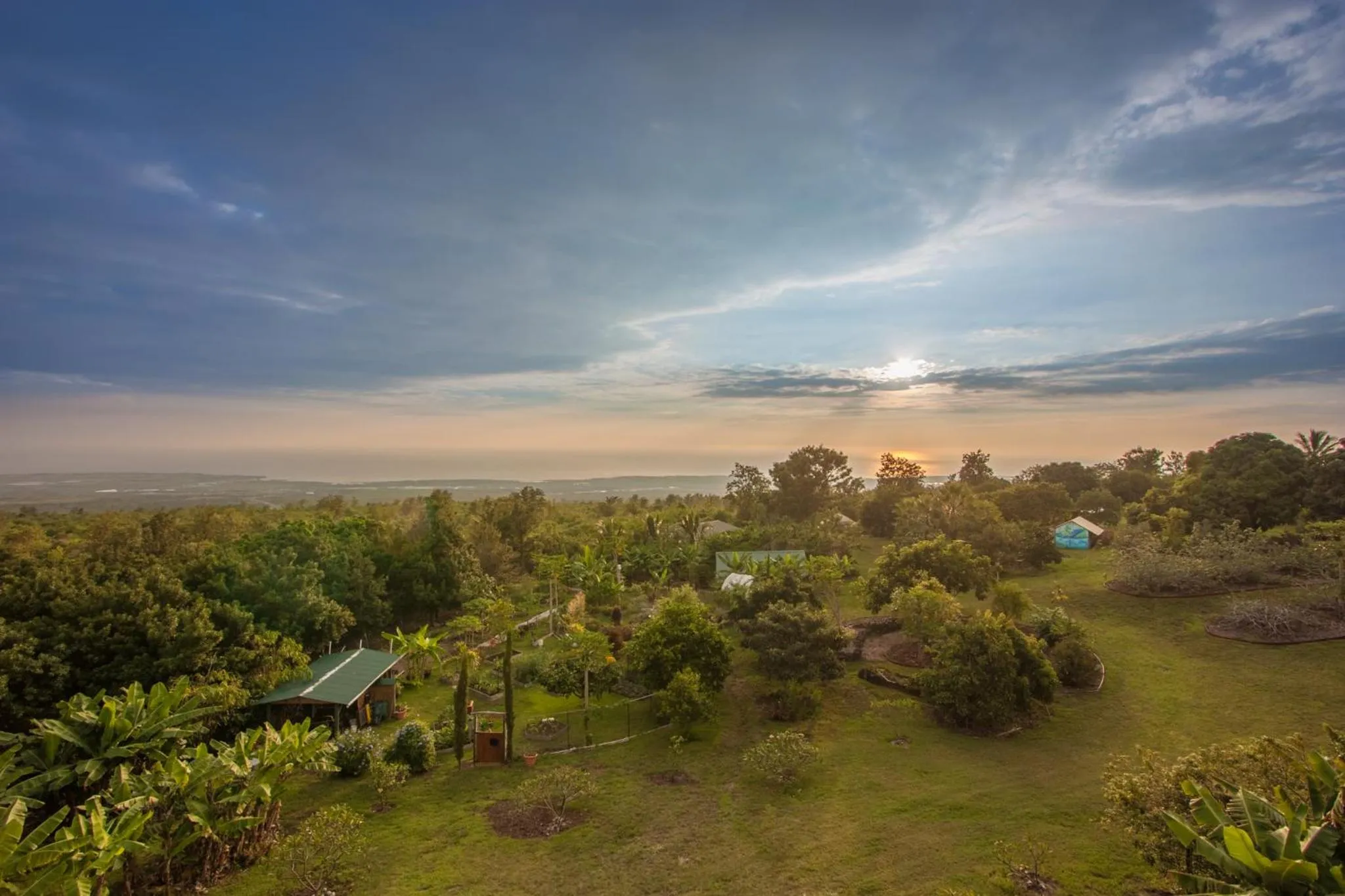 Bird's eye view in Banyan Tree Sanctuary Guest House