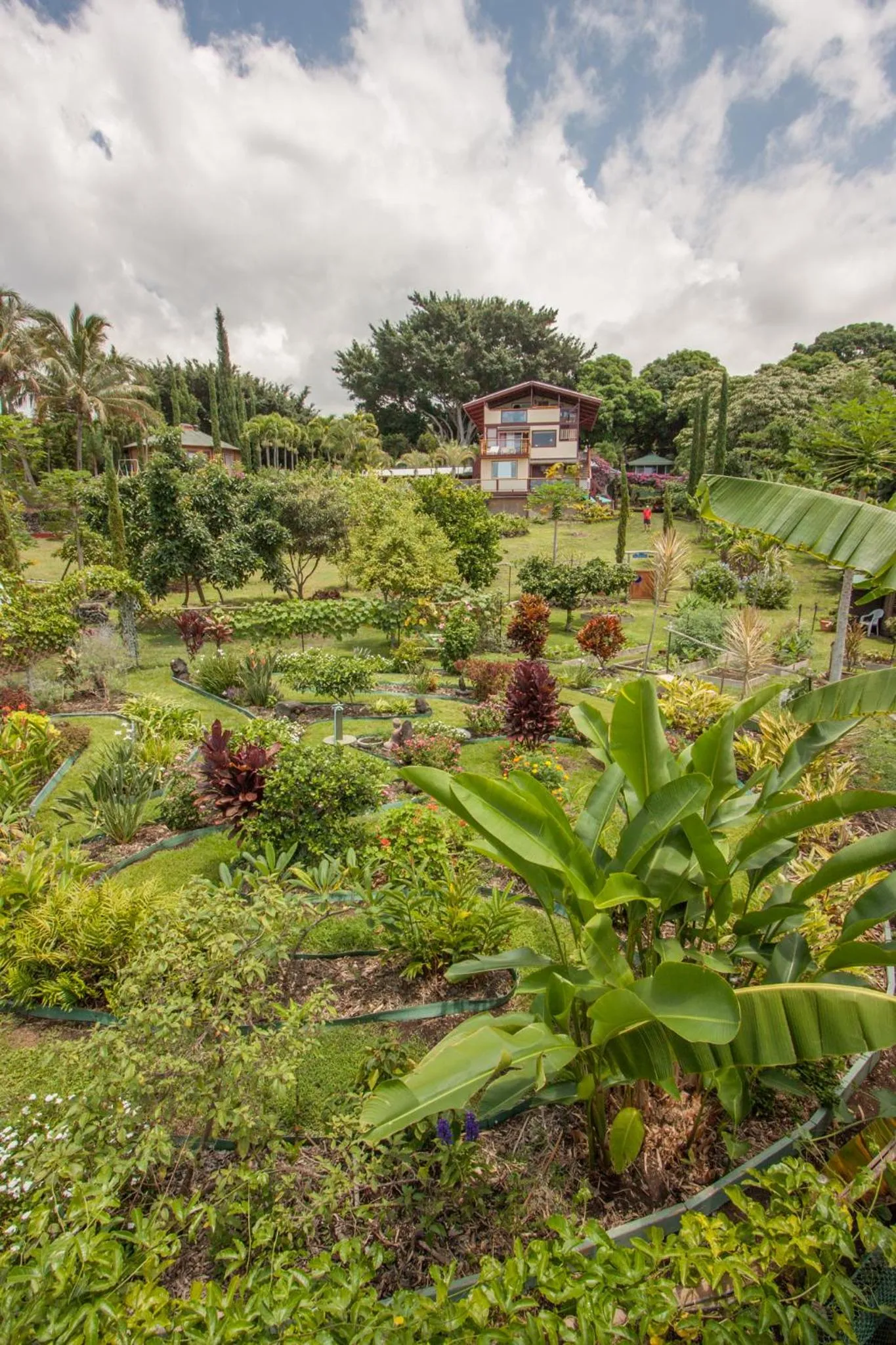 Garden view in Banyan Tree Sanctuary Guest House