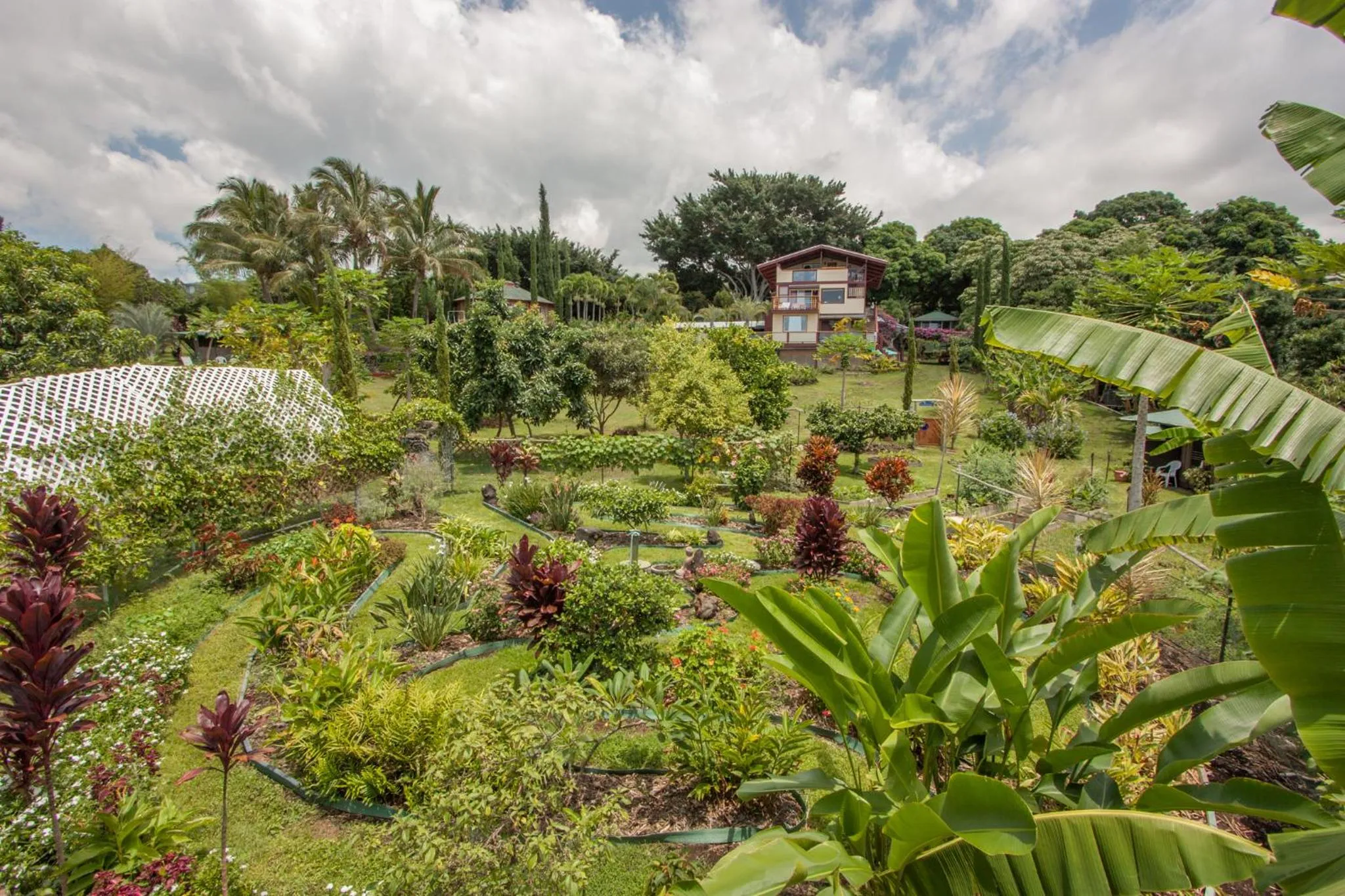 Garden view in Banyan Tree Sanctuary Guest House