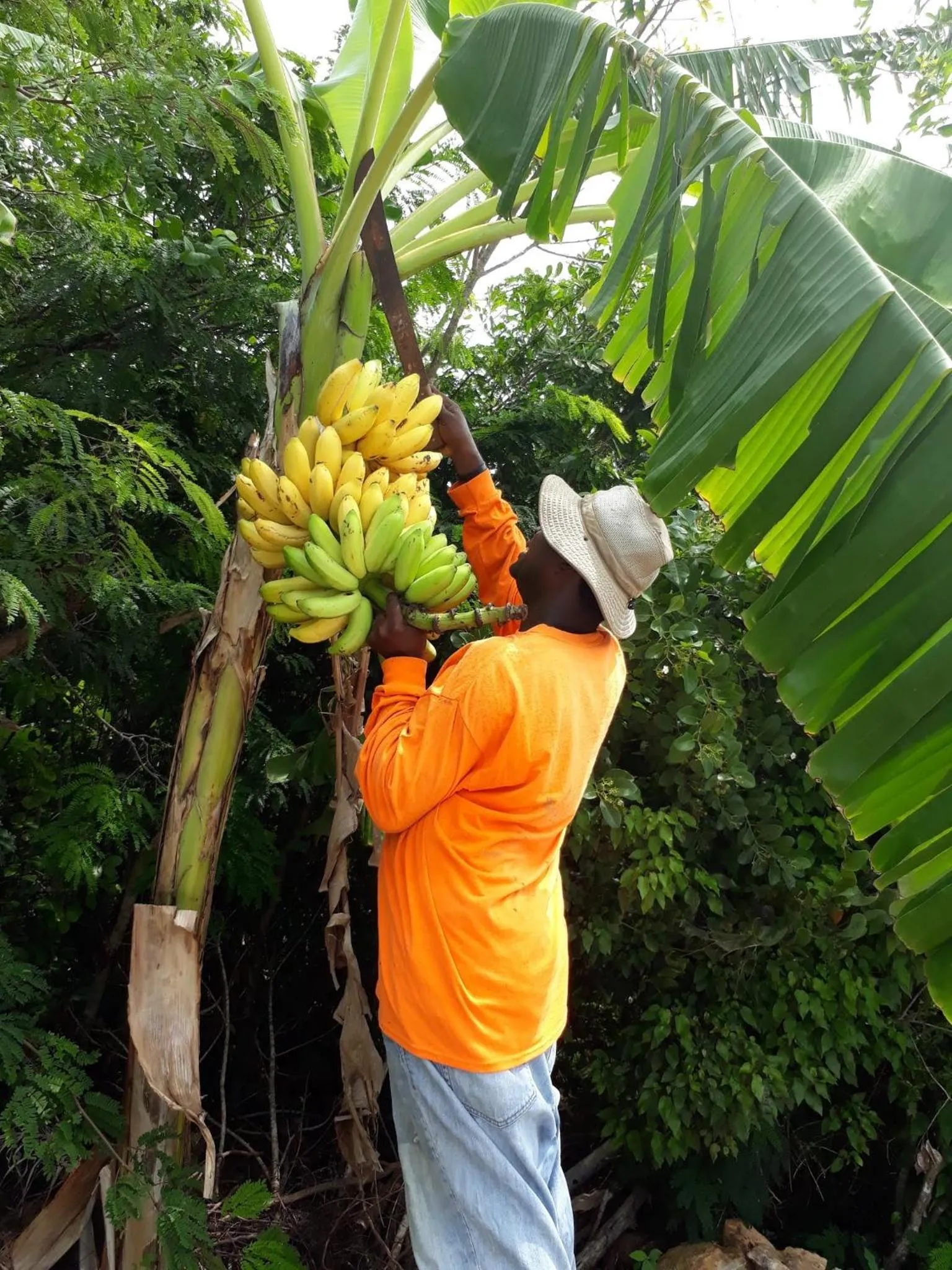 Activities in One ON Marlin Resort