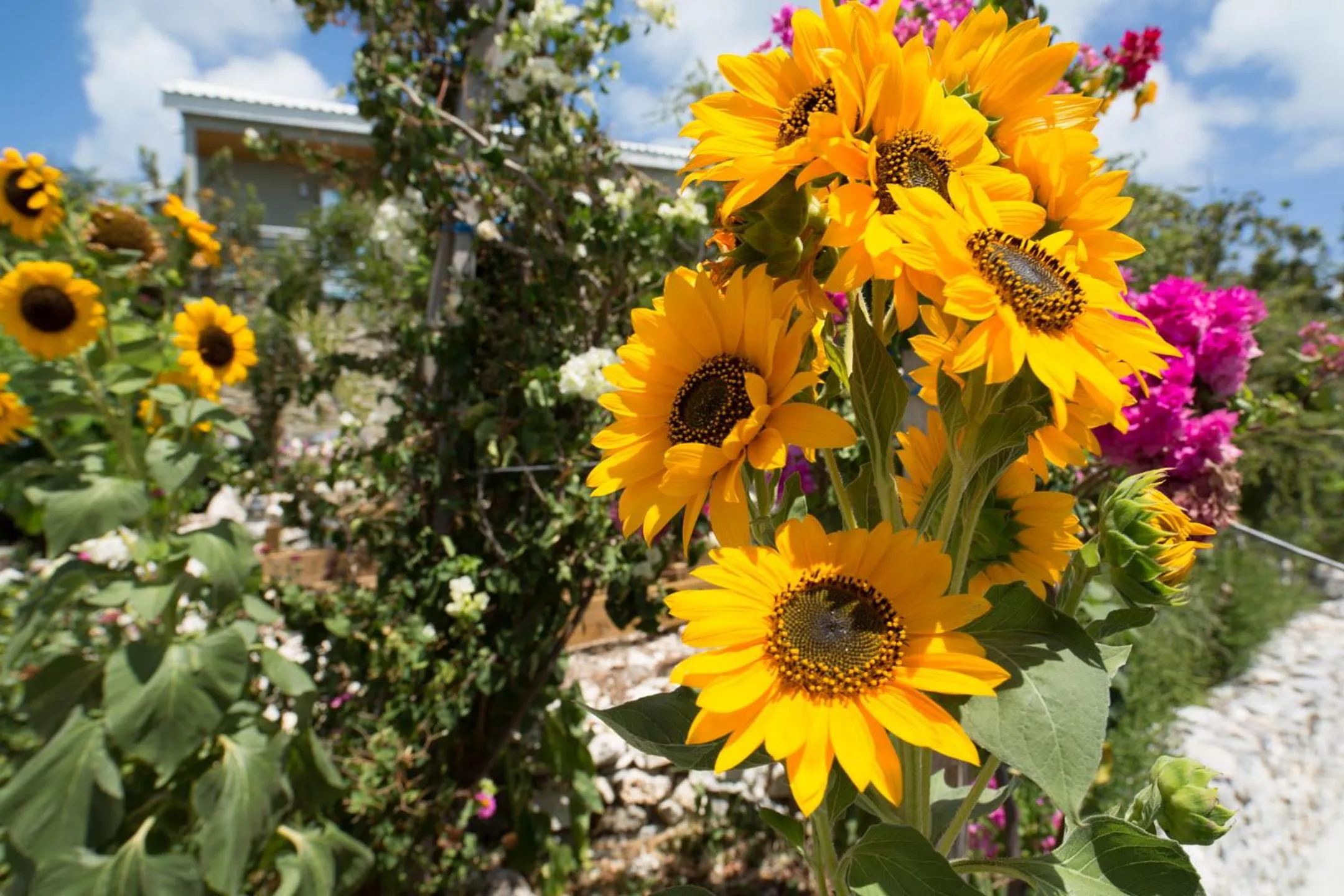 One ON Marlin Resort