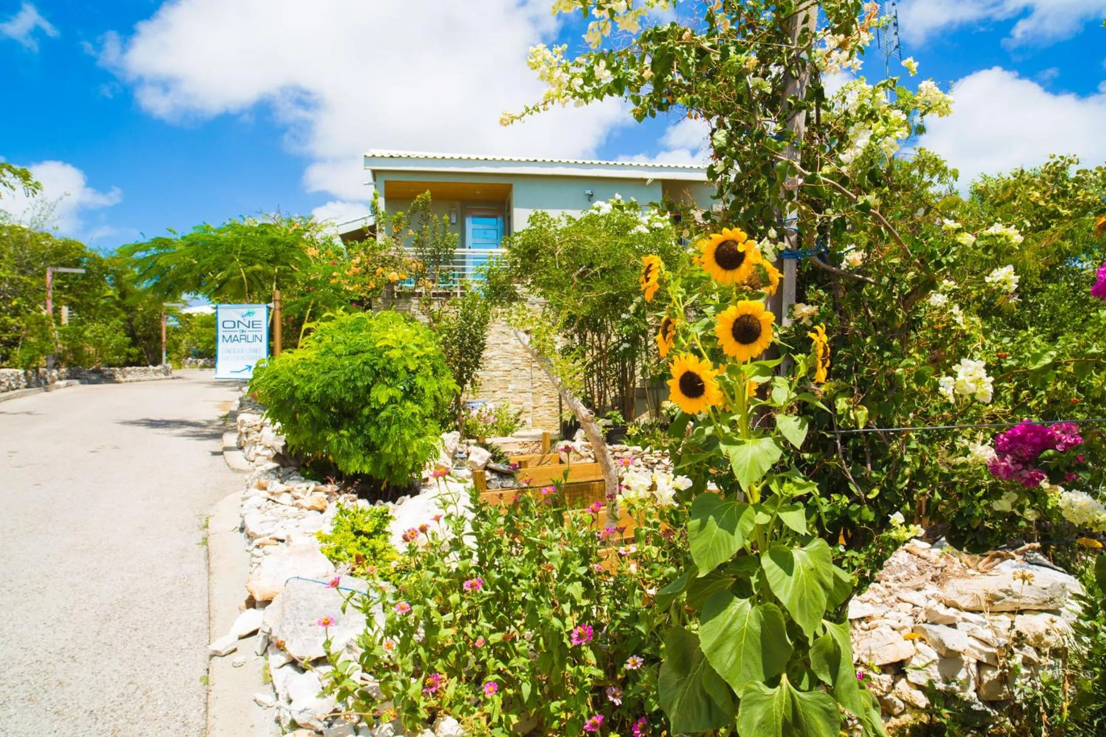 One ON Marlin Resort