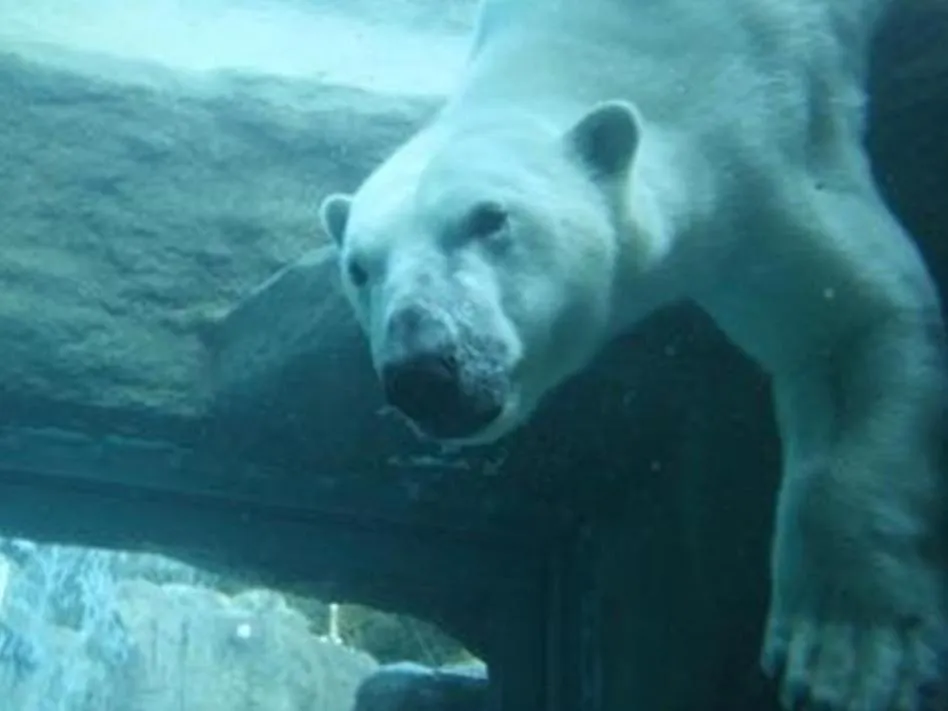 Activities in Shizuoka Town Hotel