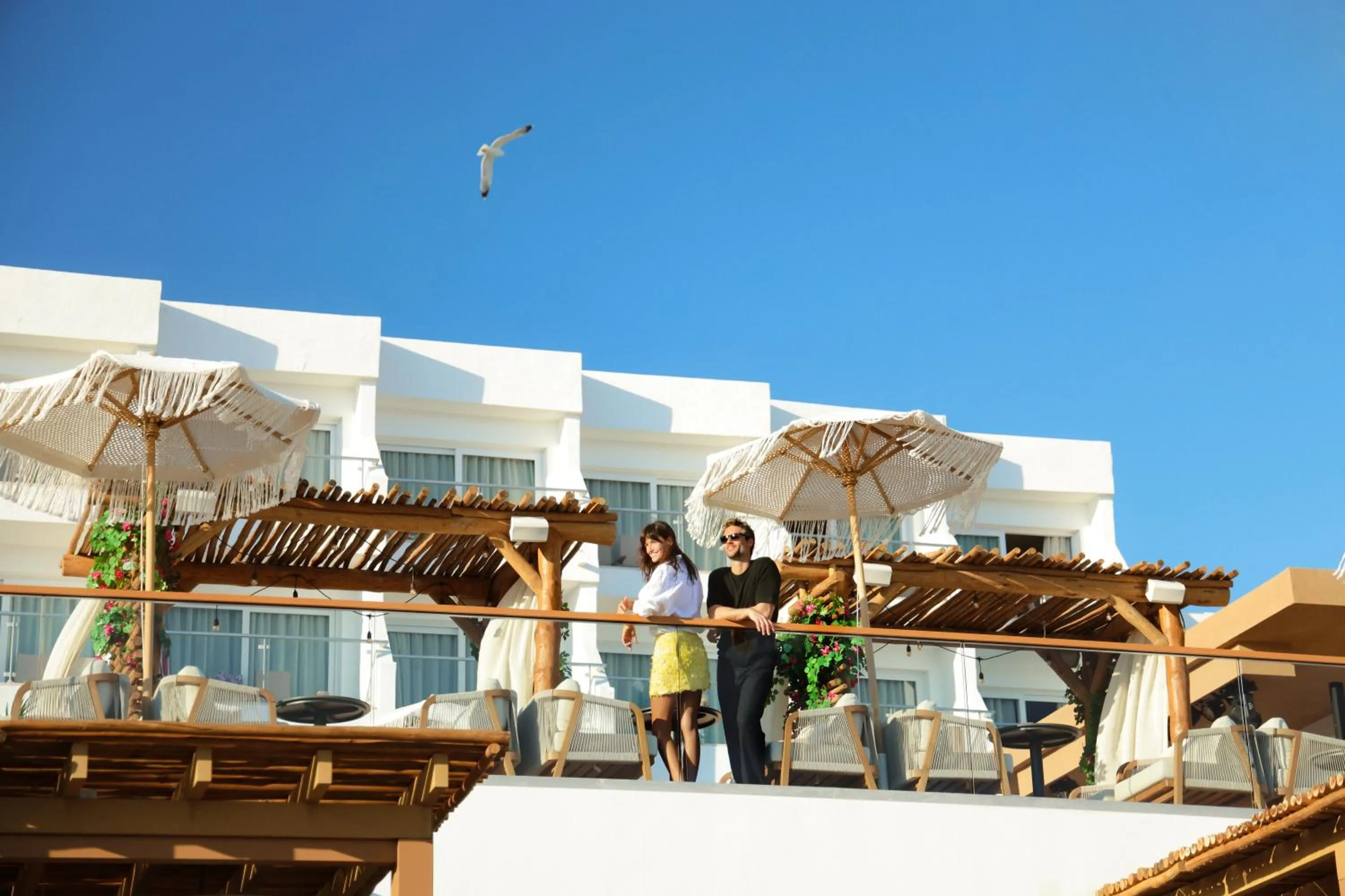 Lounge or bar in Hotel Riu Palace La Mola