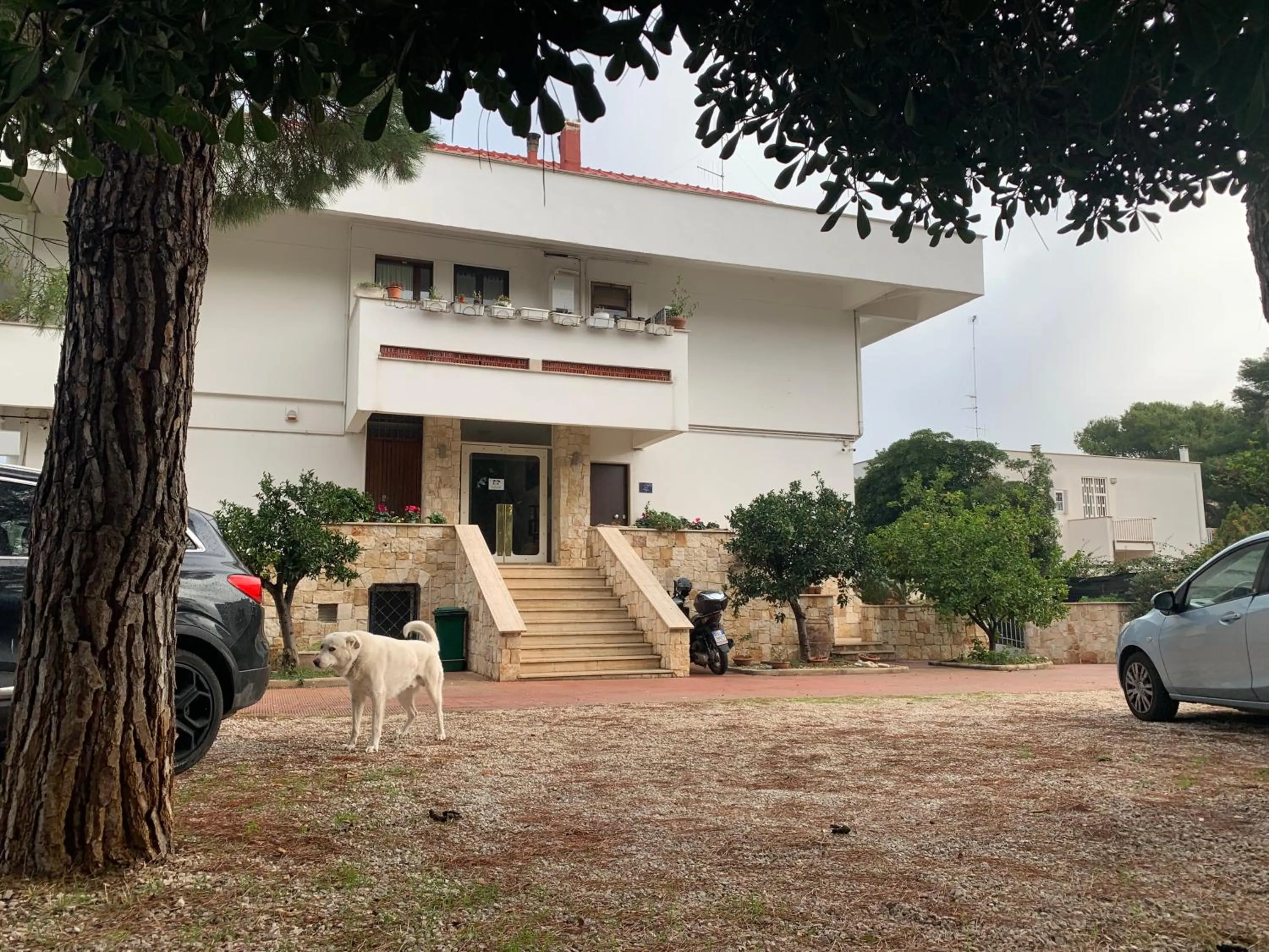 La Casa di Emanuella - Rooms & International Suites