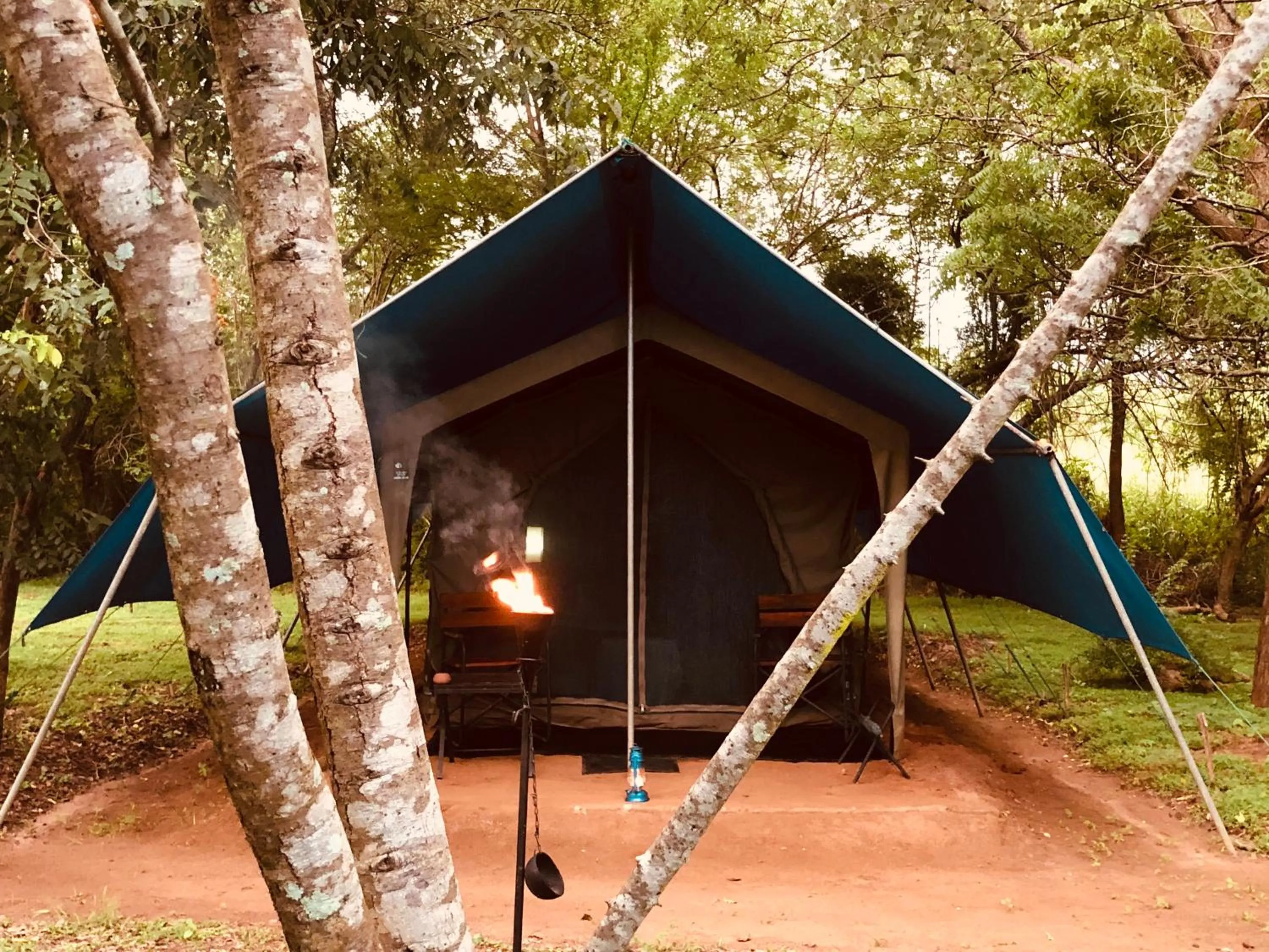 Natural landscape in Big Game Udawalawe - by Eco Team