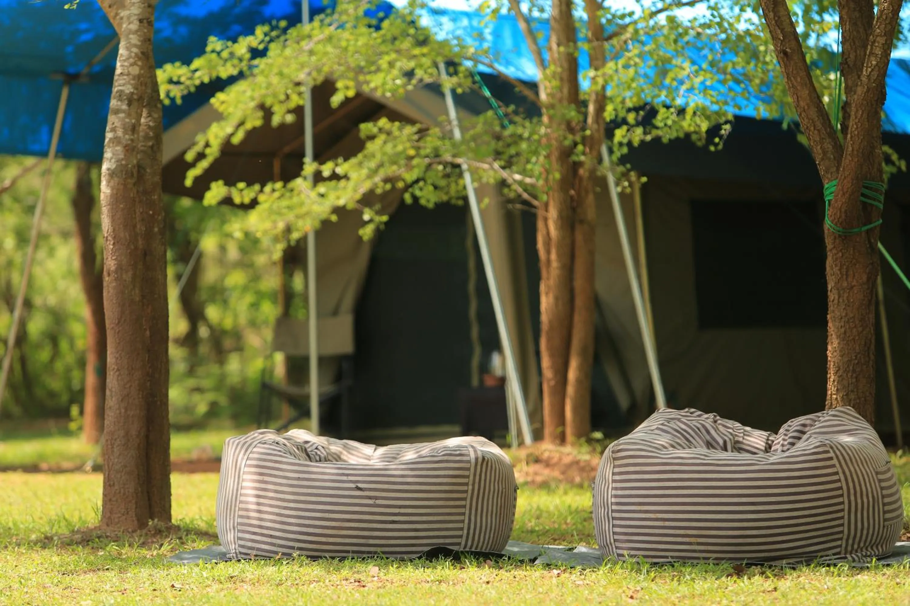 Garden in Big Game Udawalawe - by Eco Team