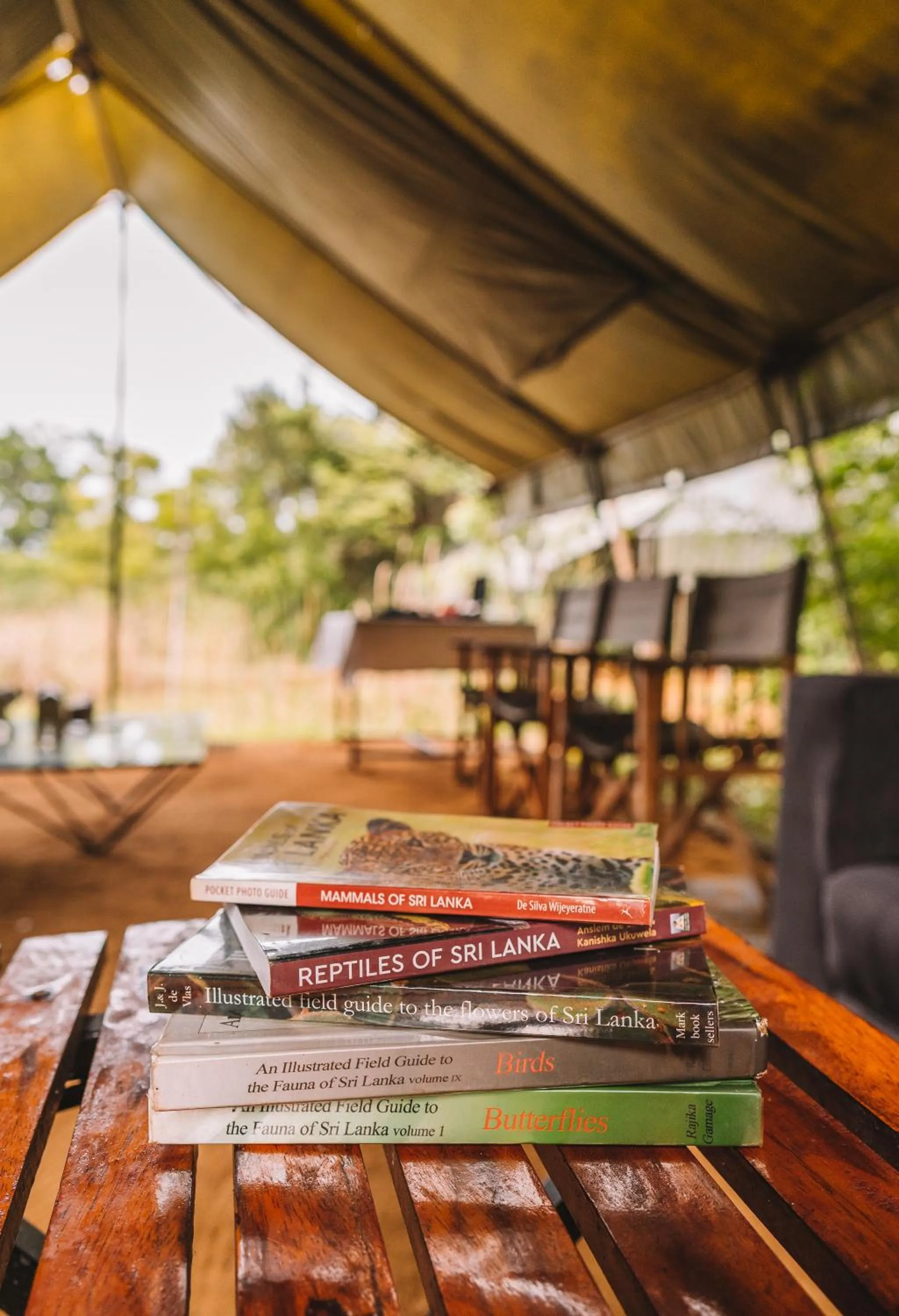 Activities in Big Game Udawalawe - by Eco Team