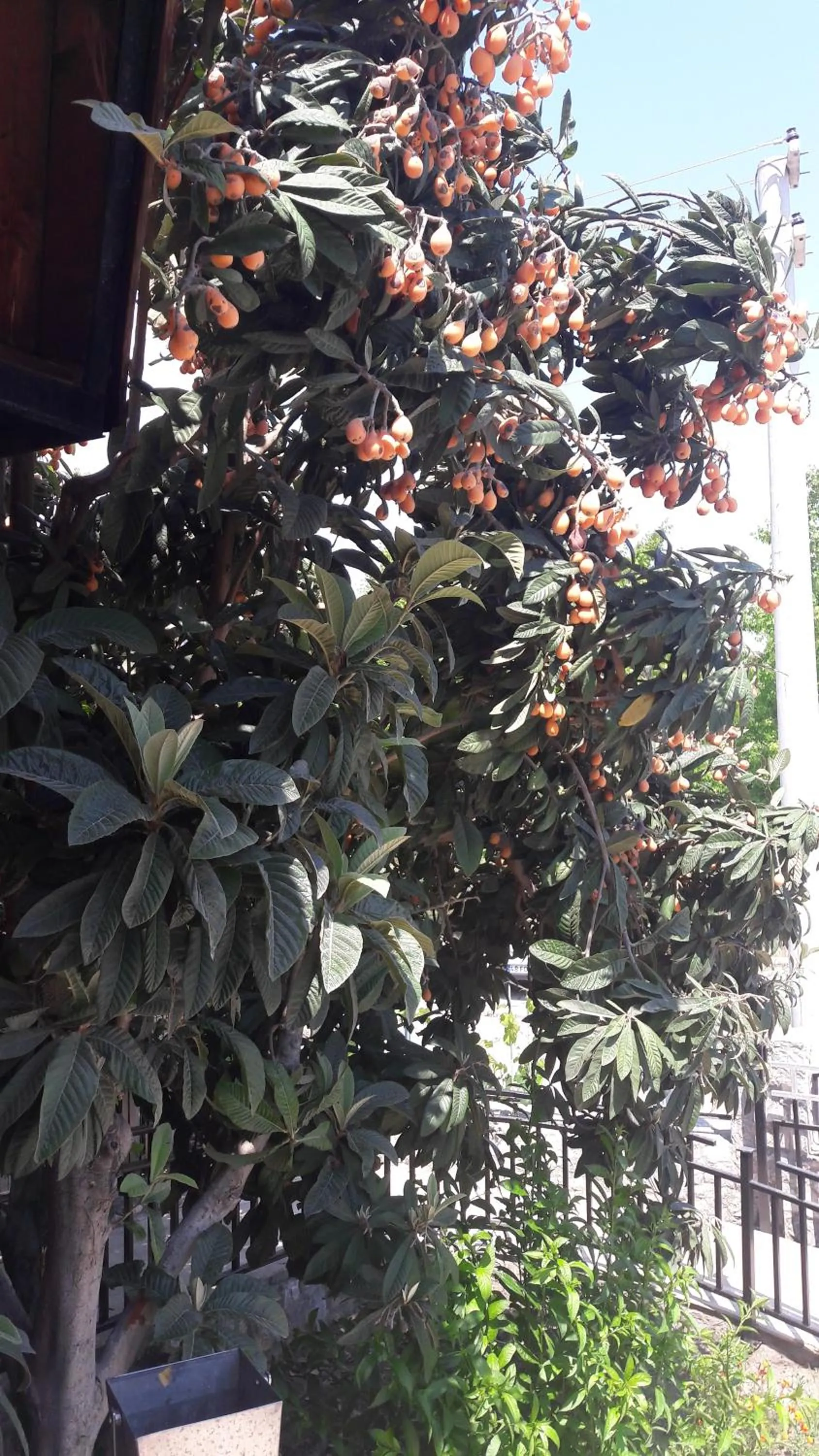 Property building in Rebin Beach Hotel