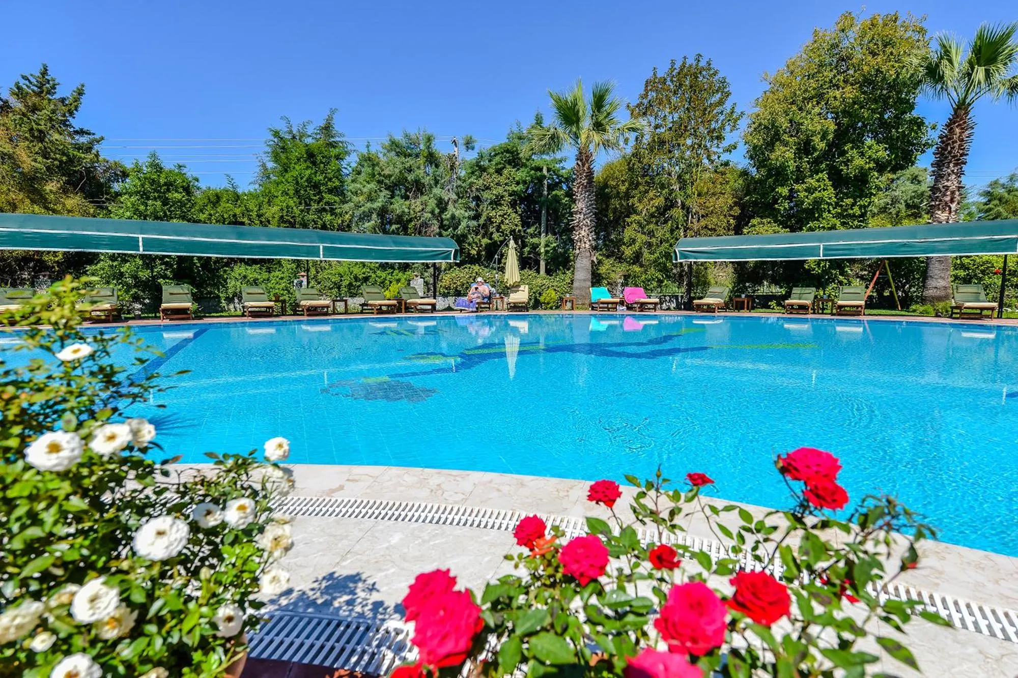 Pool view in Rebin Beach Hotel
