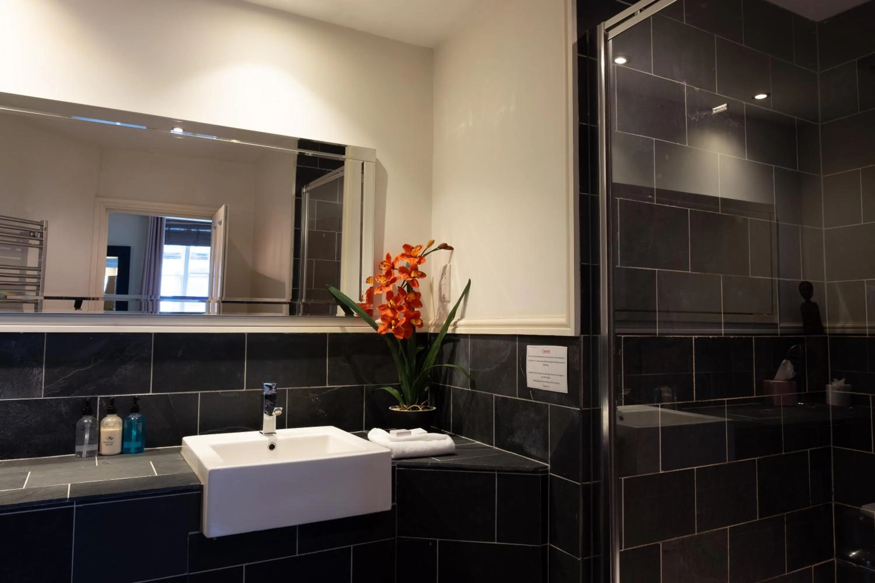 Bathroom in The Red Lion