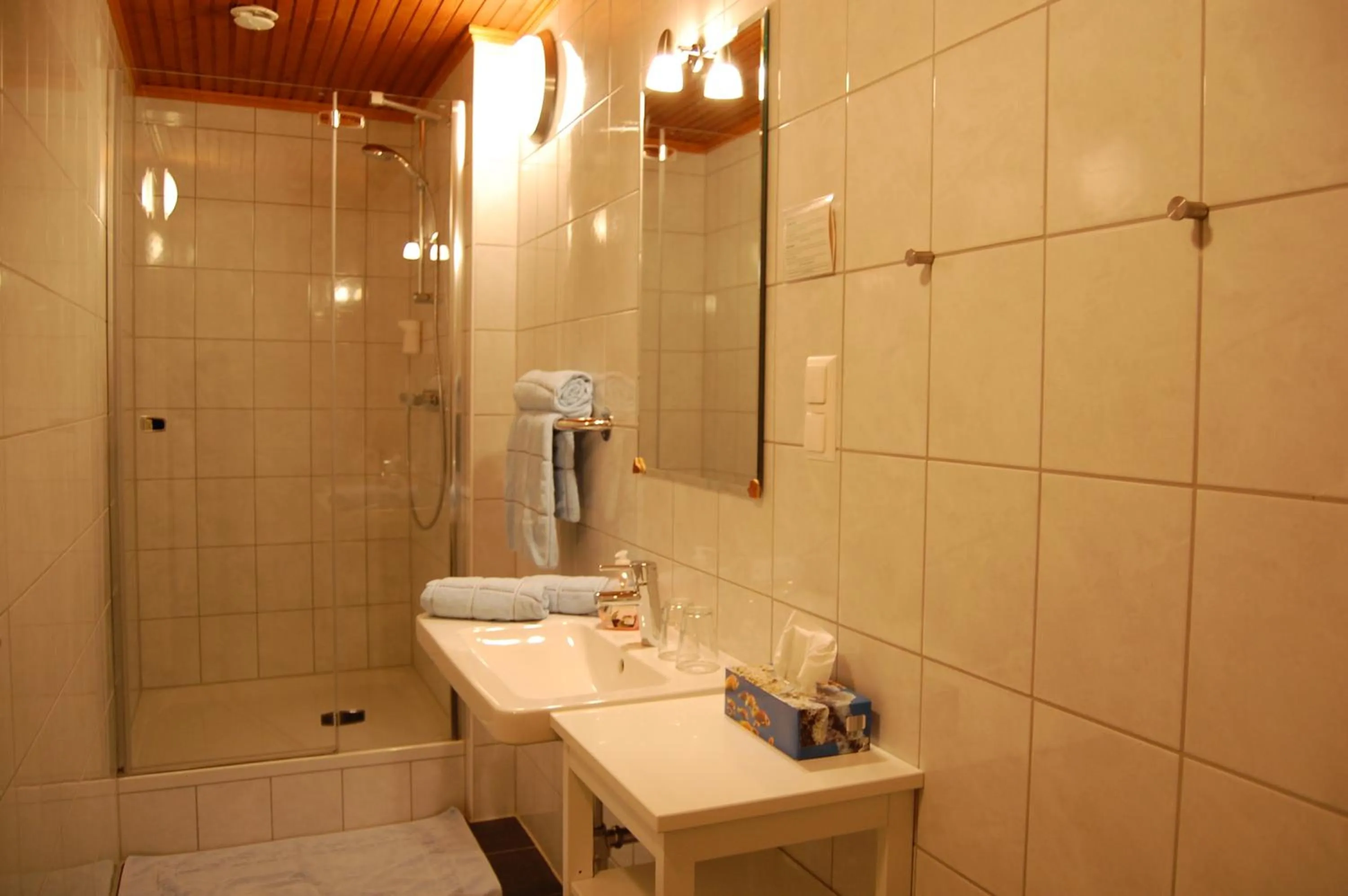 Bathroom in Gasthof Martinihof