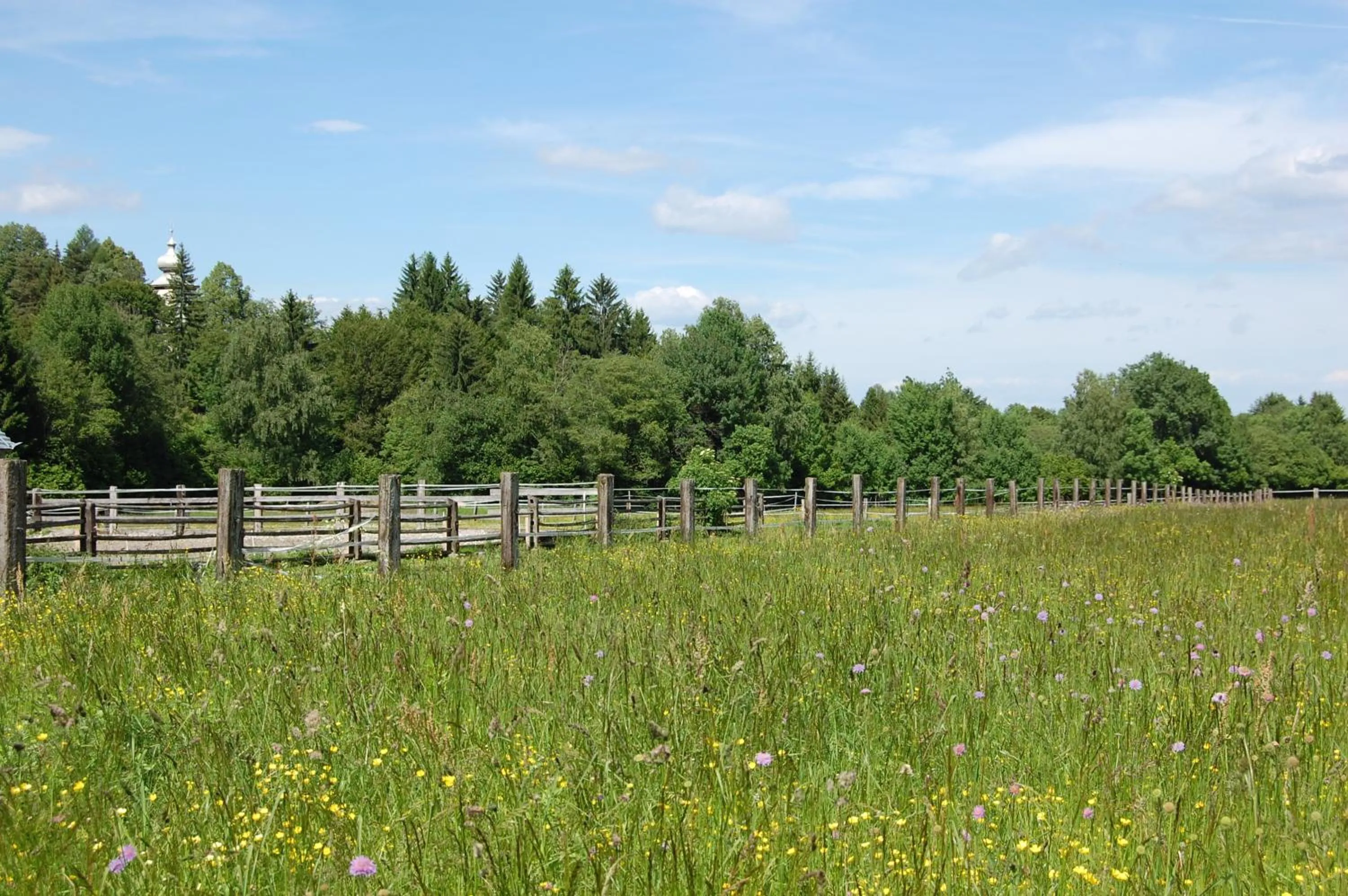 Garden in Gasthof Martinihof