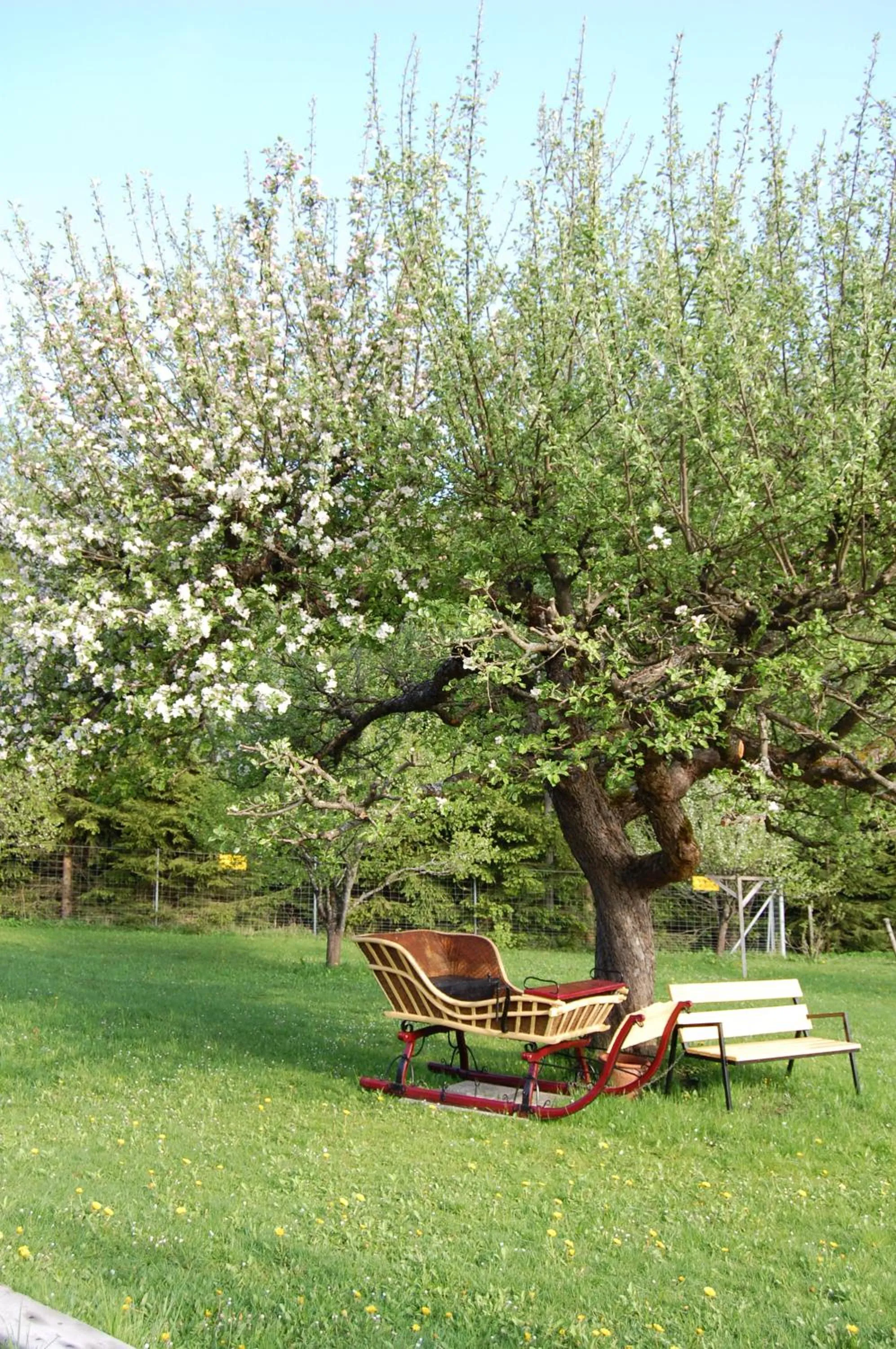Garden in Gasthof Martinihof