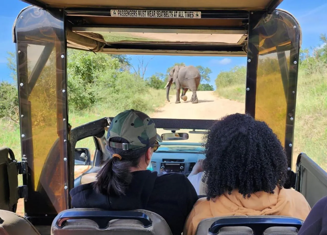 Animals in Umbhaba Eco Lodge