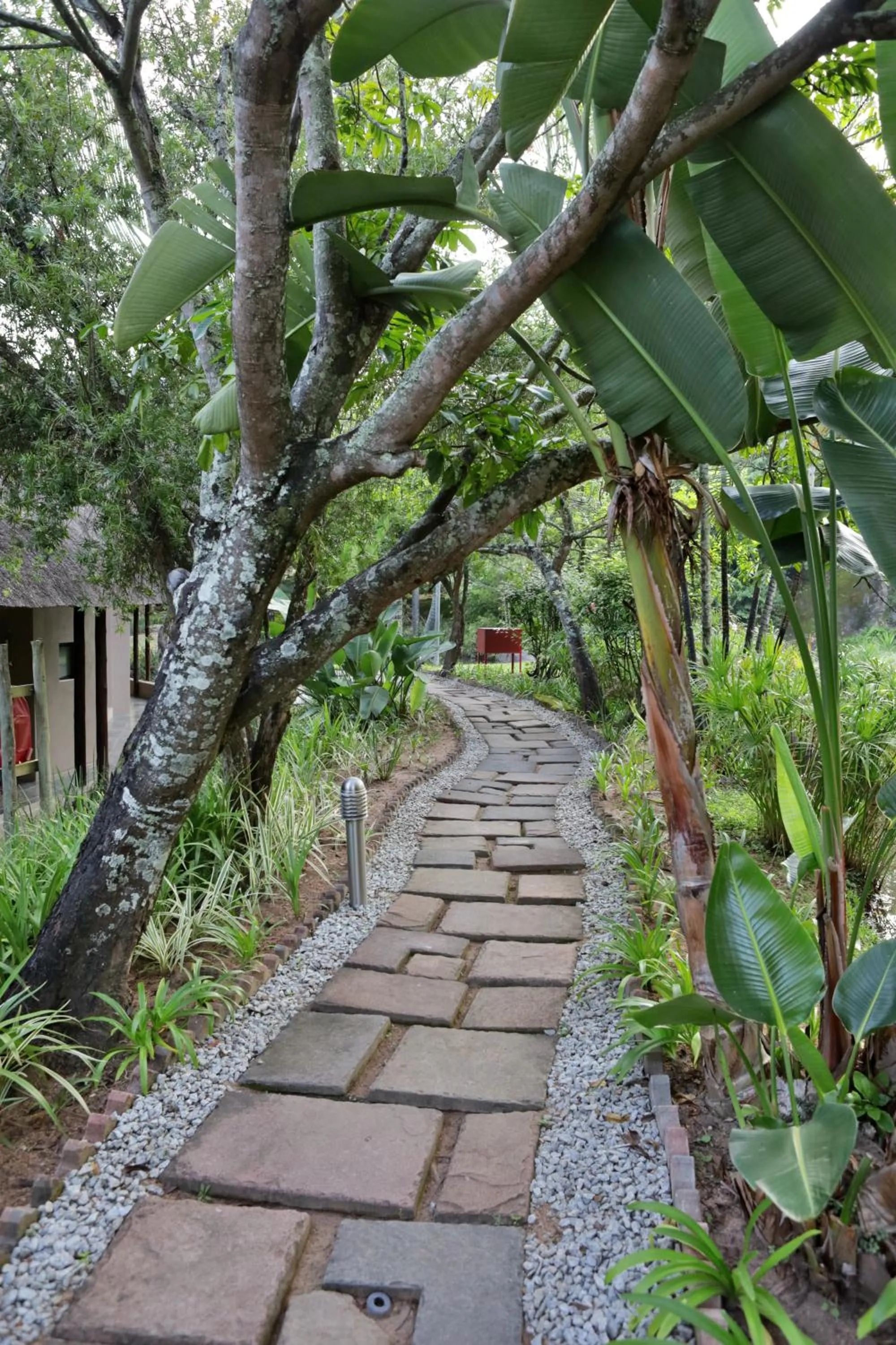 Garden in Umbhaba Eco Lodge
