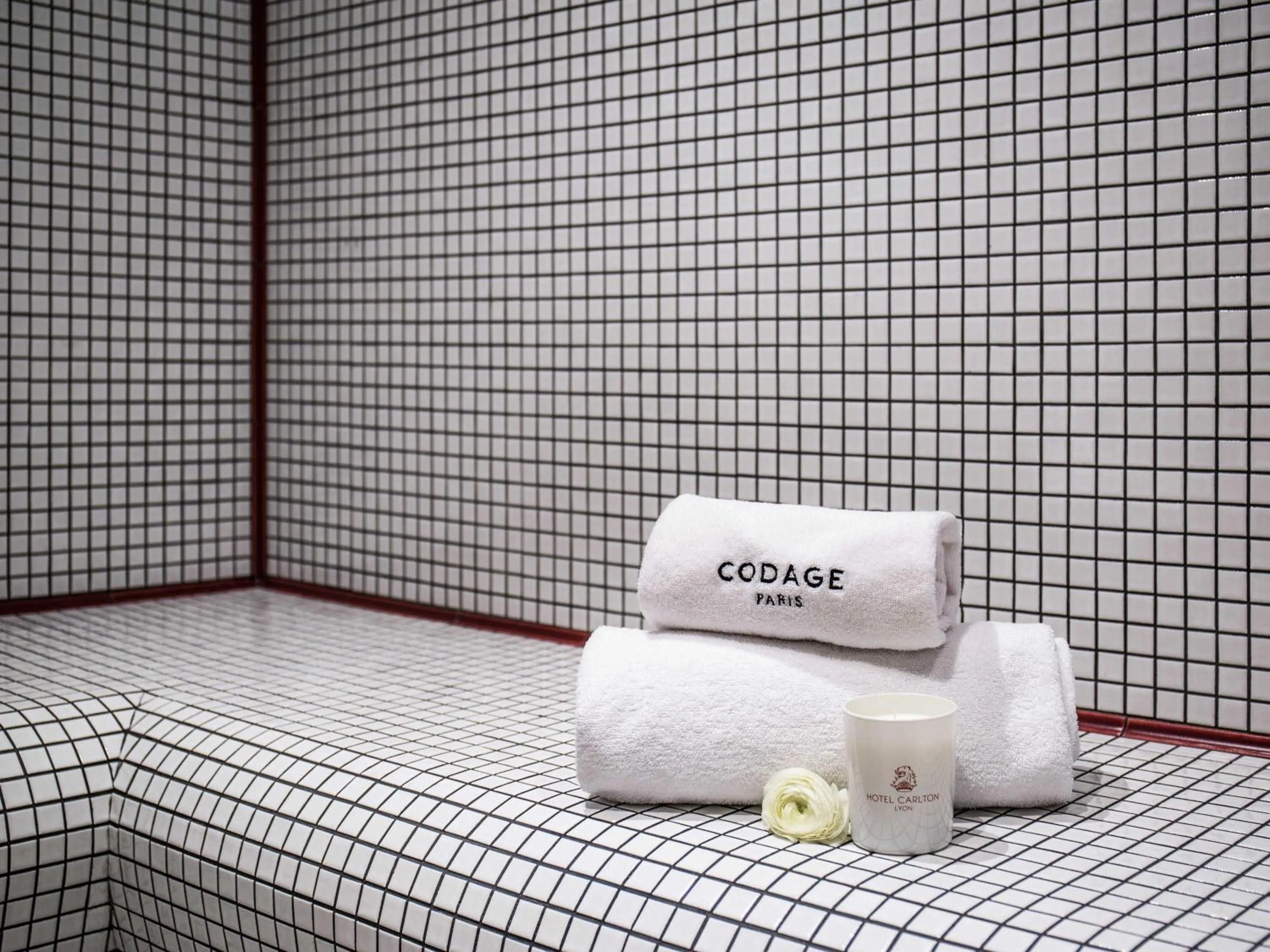 Other in Carlton Hotel Lyon - MGallery Collection