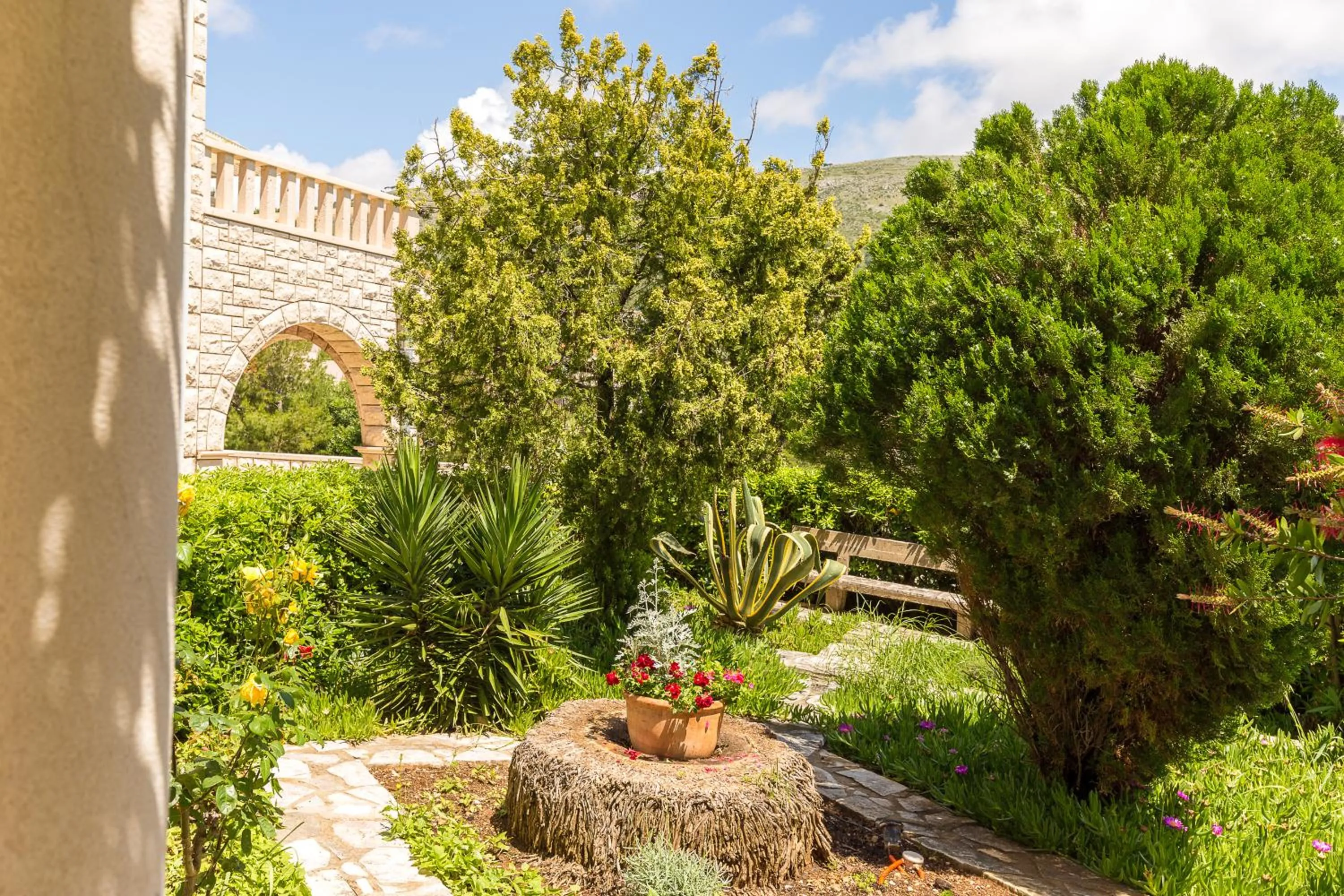Garden in Guest House Steel