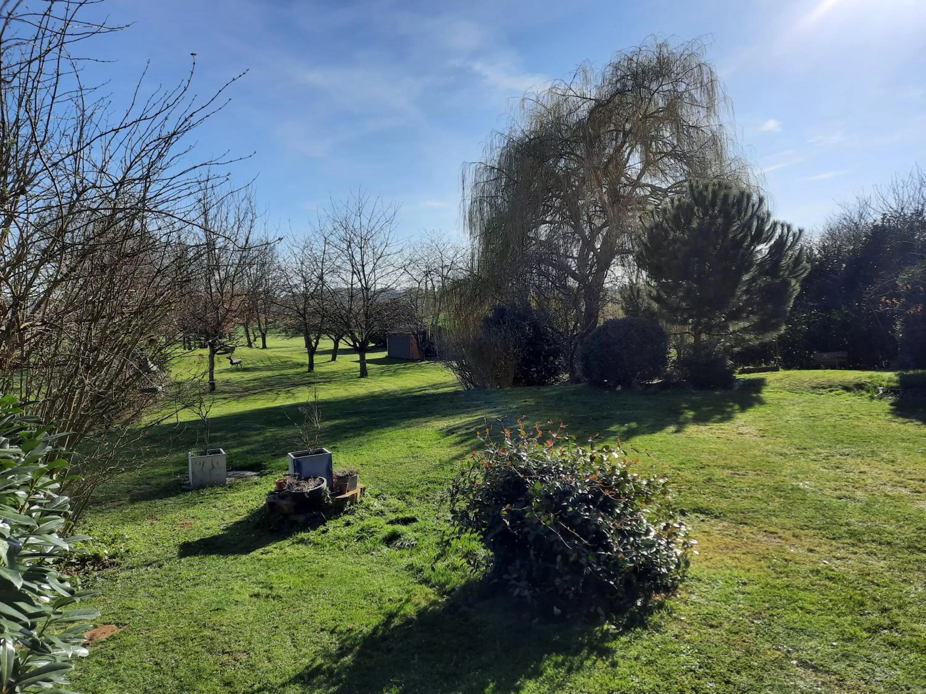 Garden view in La Grange