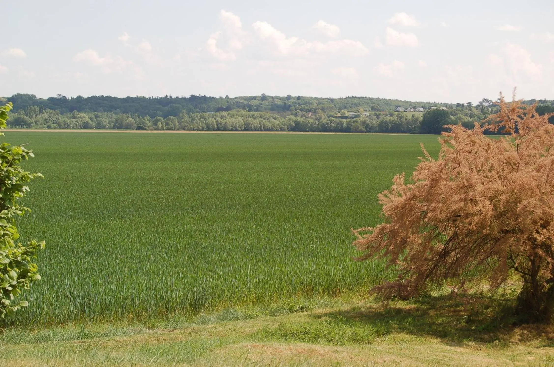 Natural landscape in La Grange