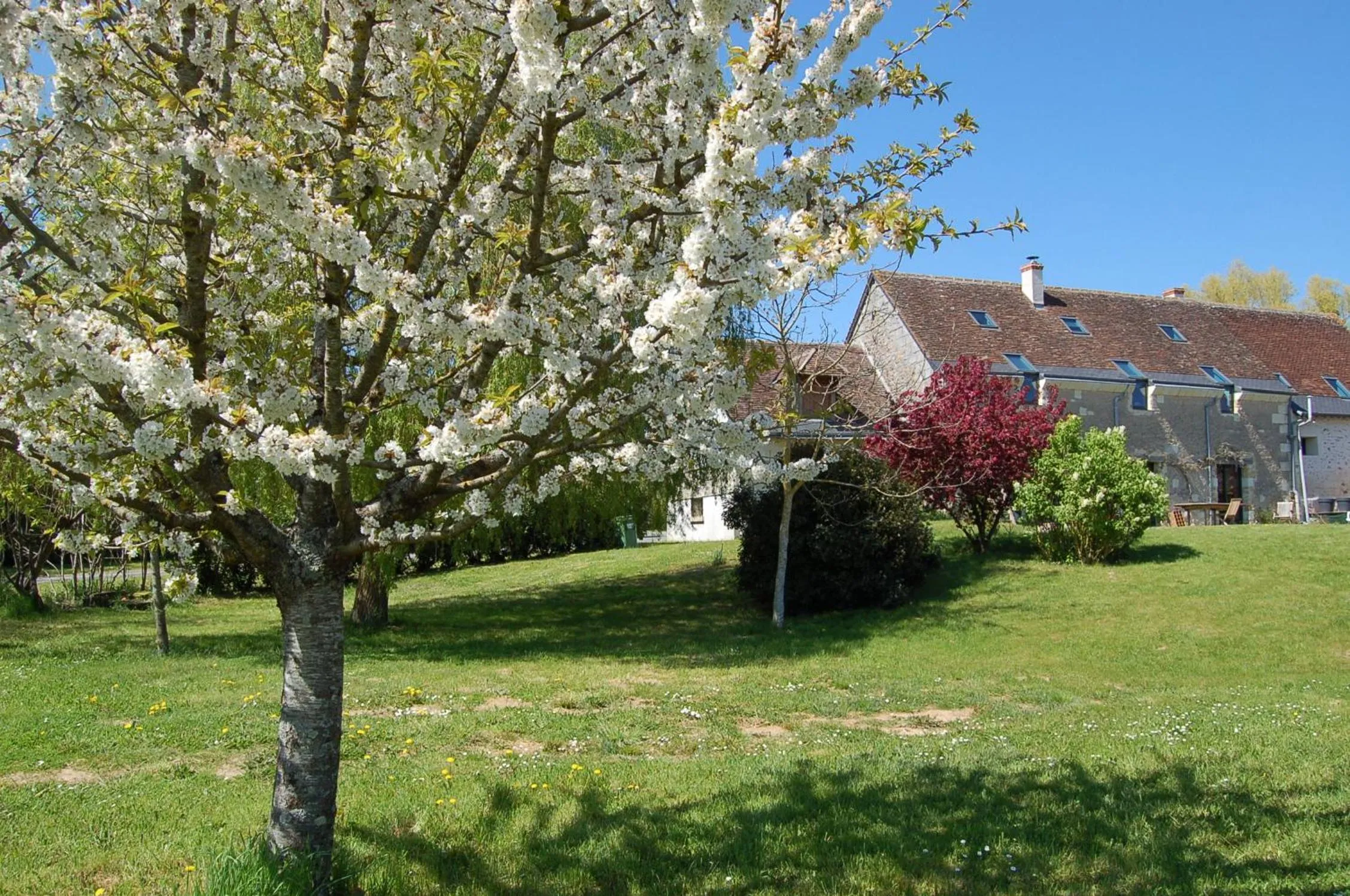 Garden view in La Grange