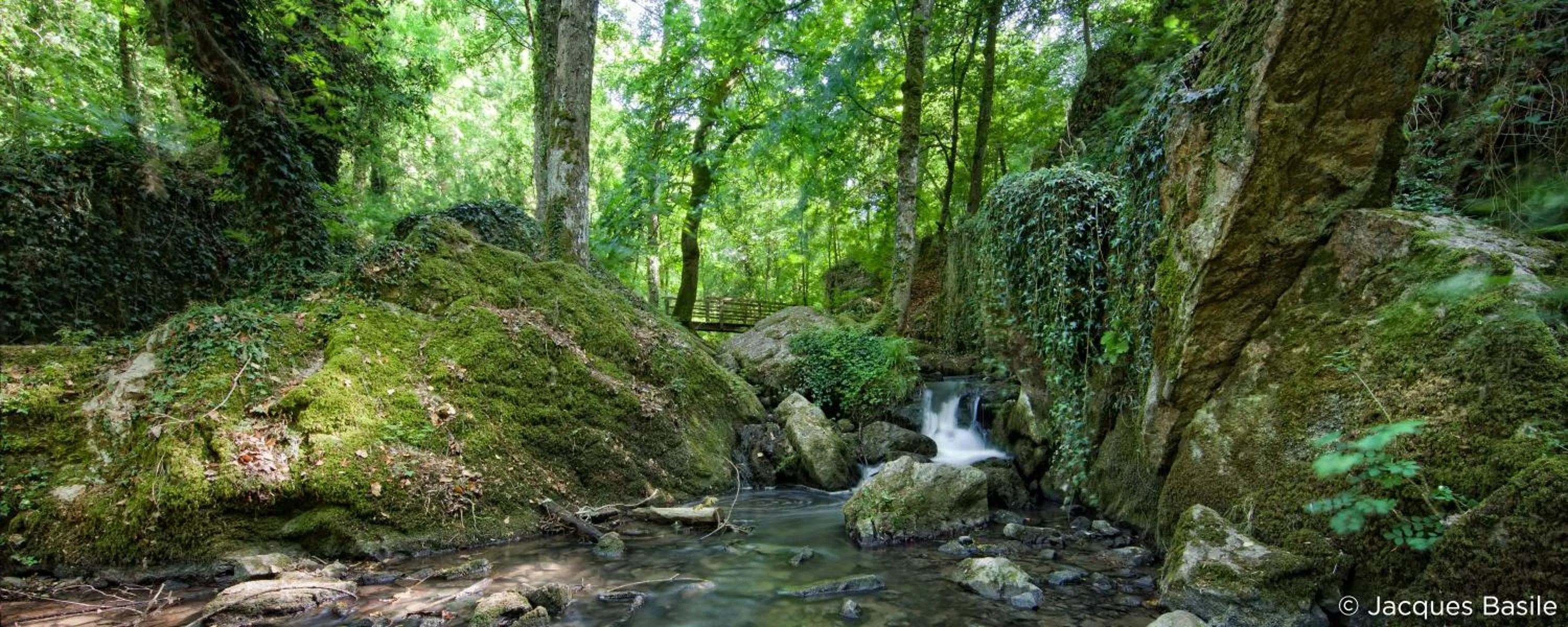 Off site in ibis Falaise Coeur de Normandie