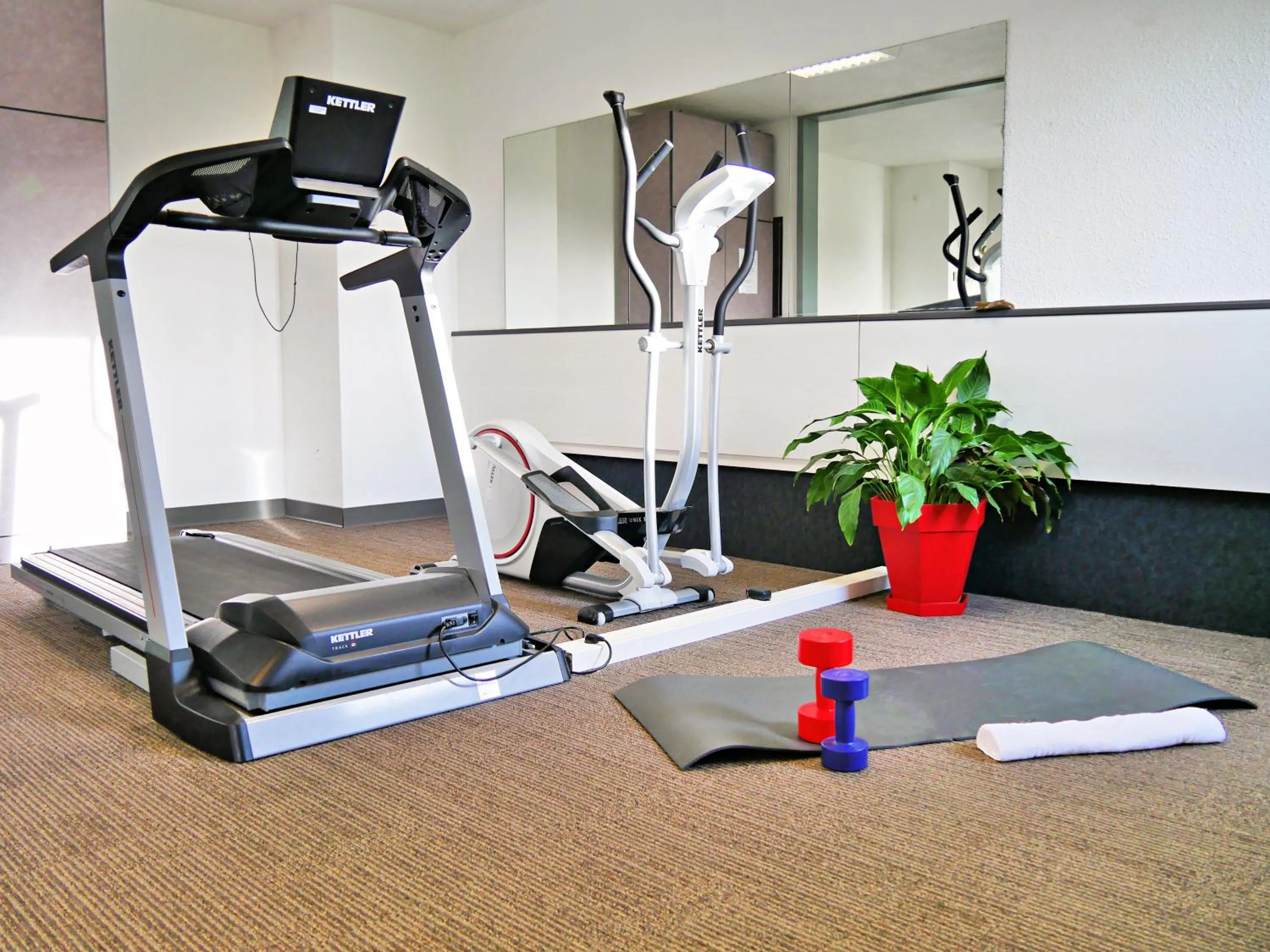 Fitness centre/facilities in ibis Falaise Coeur de Normandie